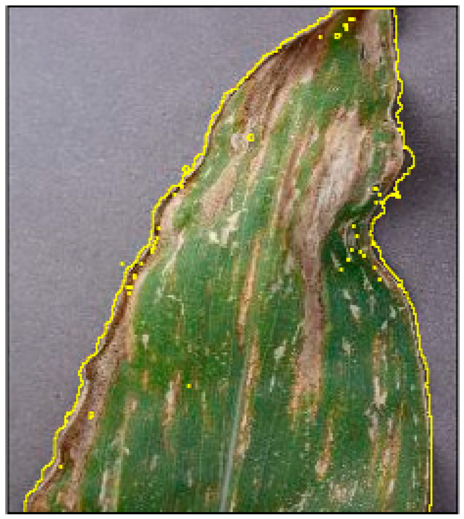 Agriengineering 01 00015 g005