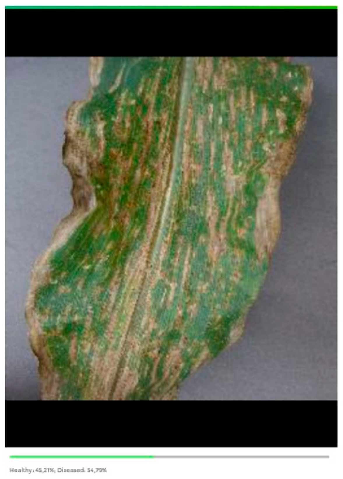 Agriengineering 01 00015 g017