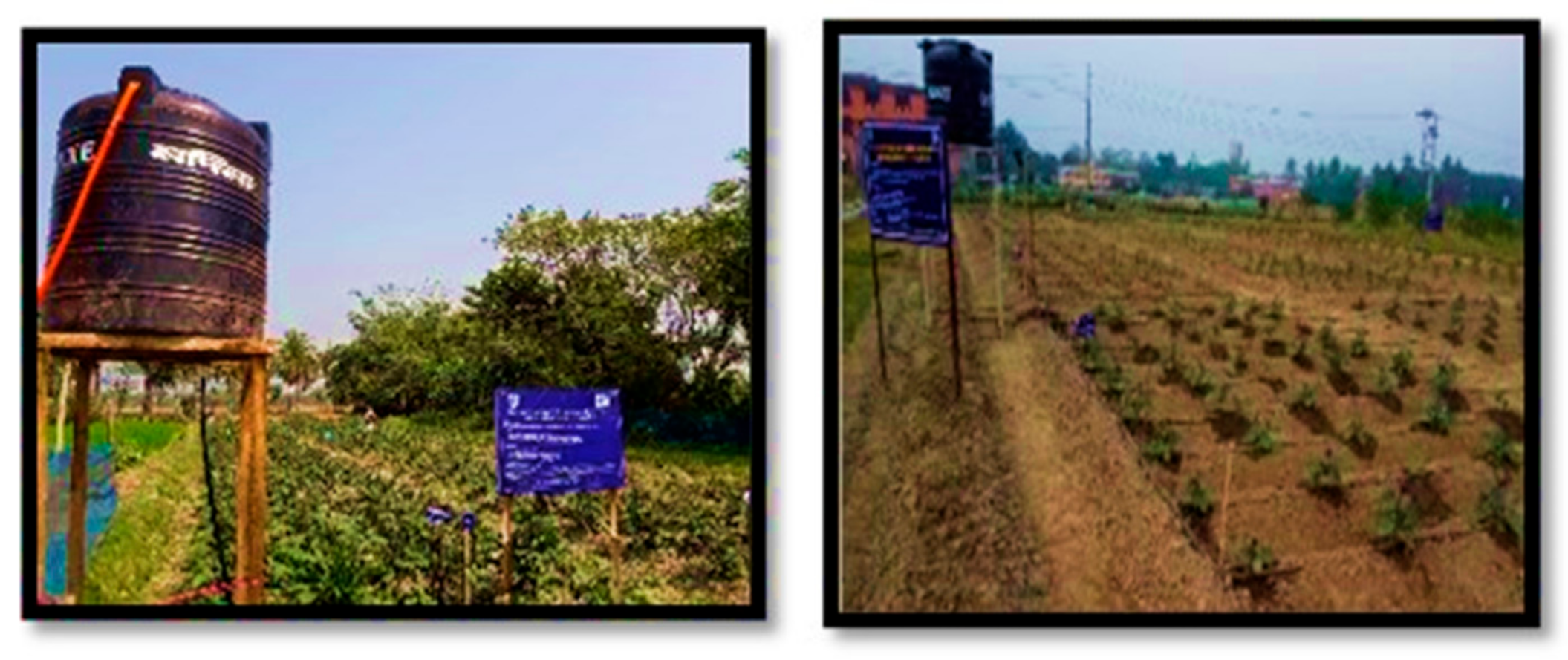 Agriengineering 01 00028 g005