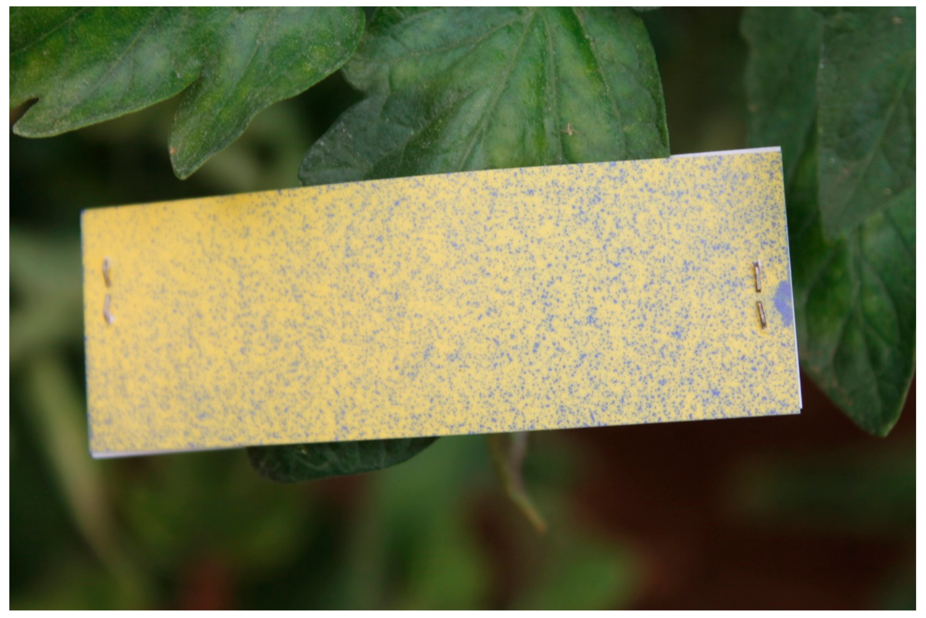 Agriengineering 01 00029 g008