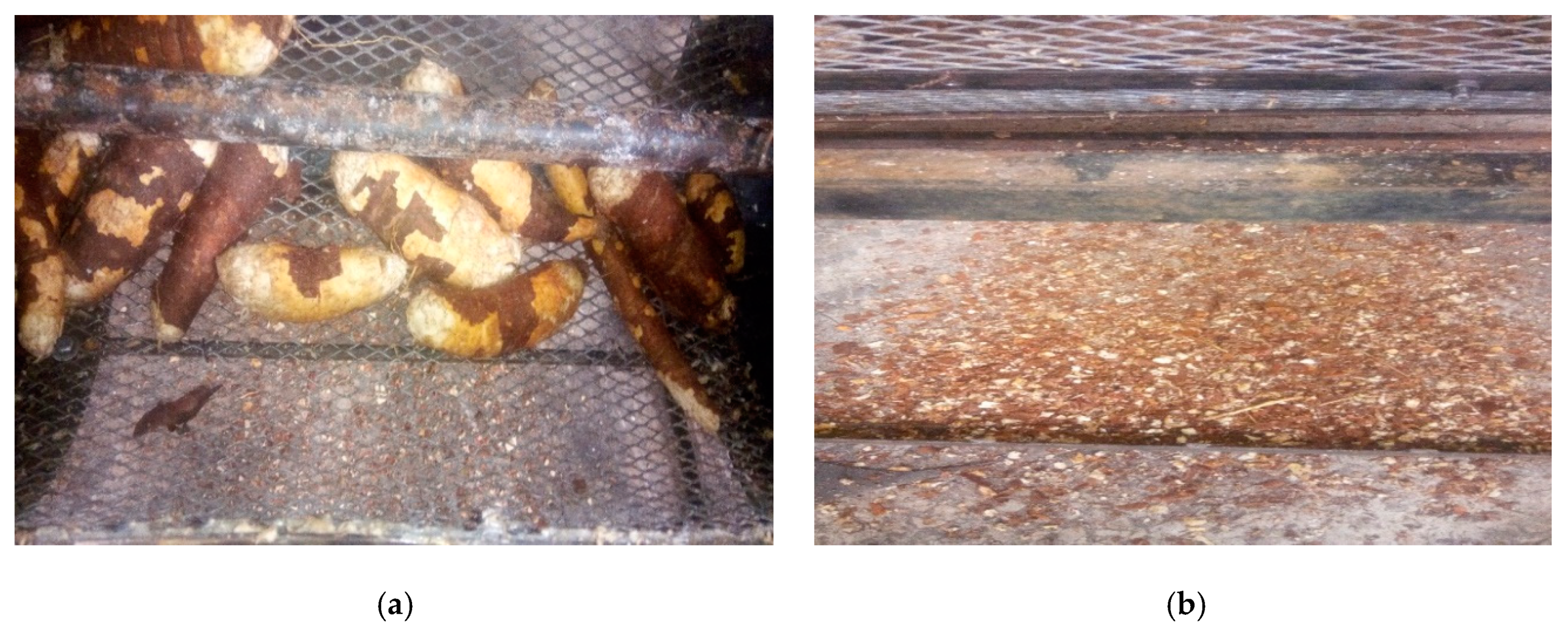 Agriengineering 02 00004 g006