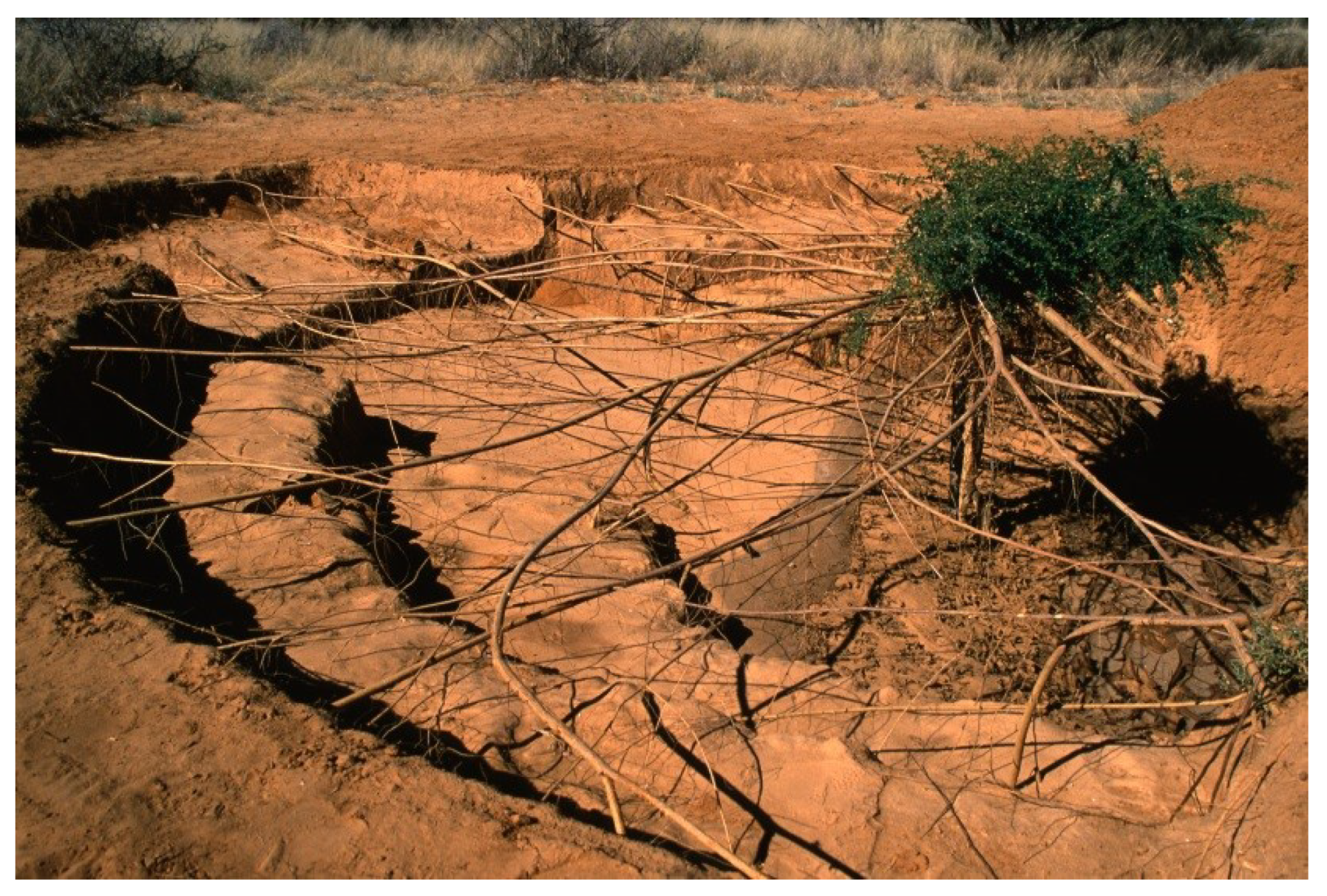 Agriengineering 02 00013 g001