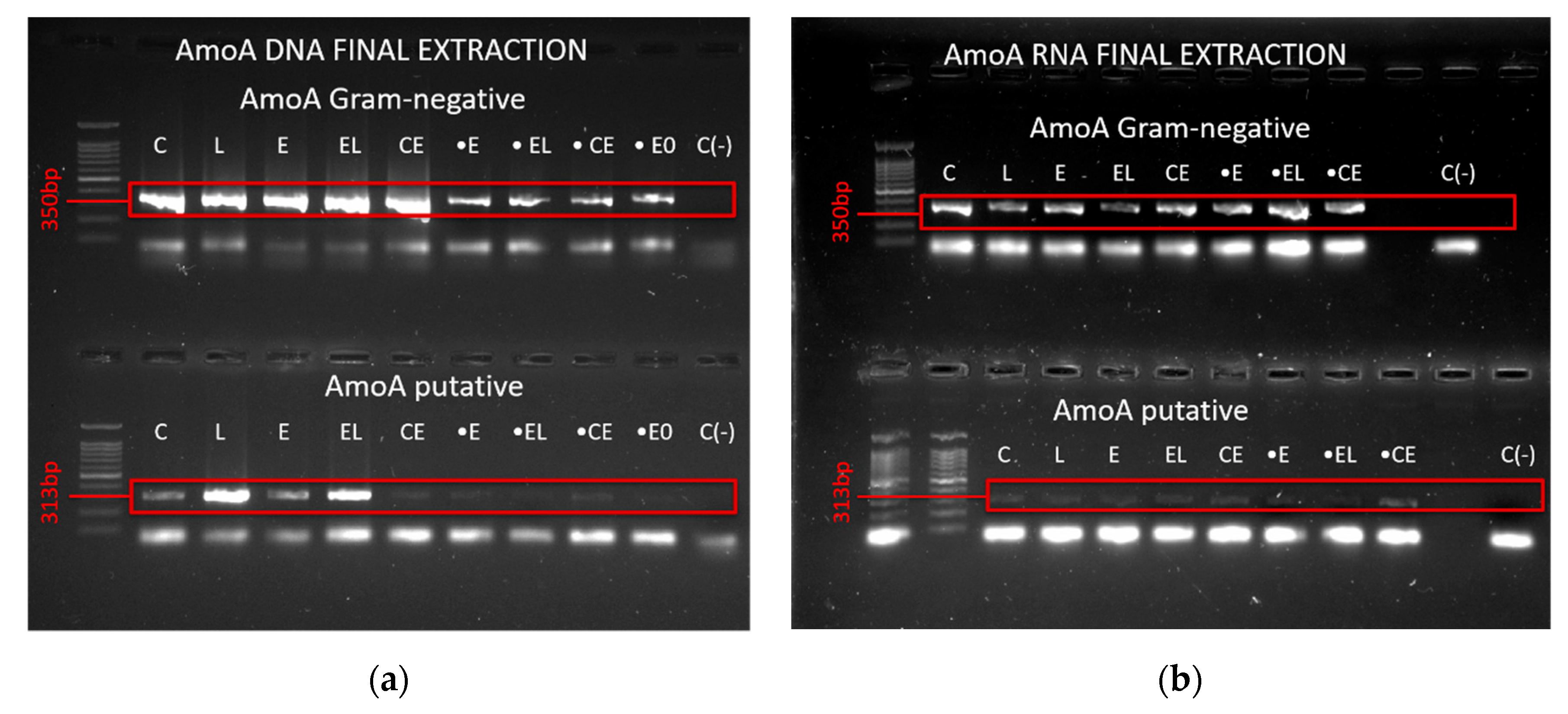 Agriengineering 02 00036 g006 Agriengineering 02 00036 g006