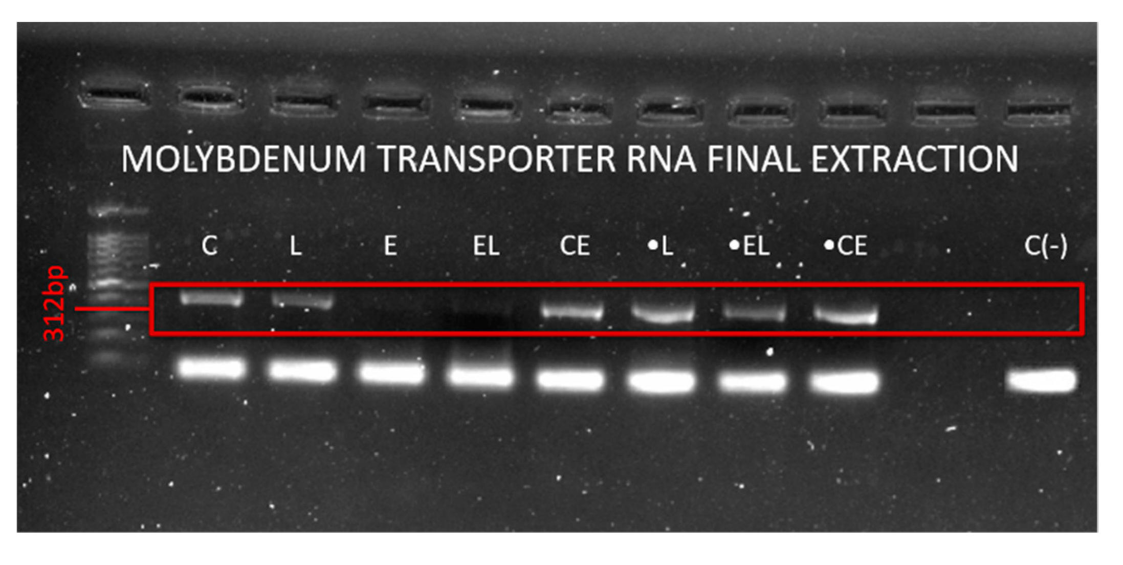 Agriengineering 02 00036 g007 Agriengineering 02 00036 g007