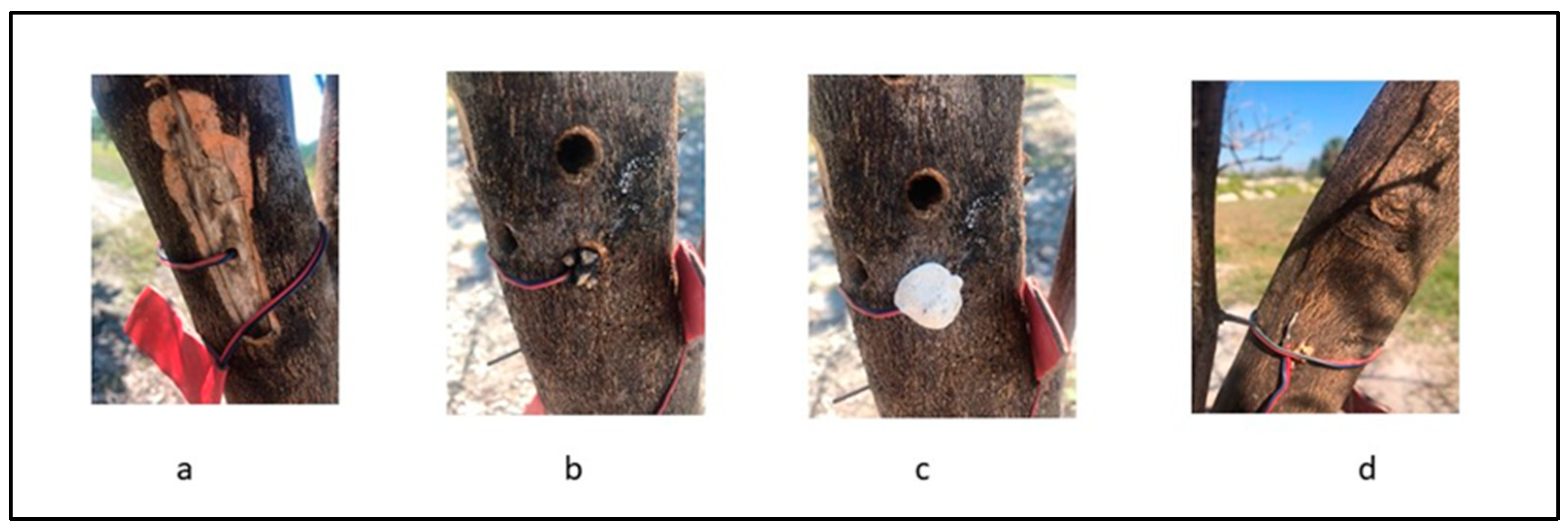Agriengineering 03 00002 g004
