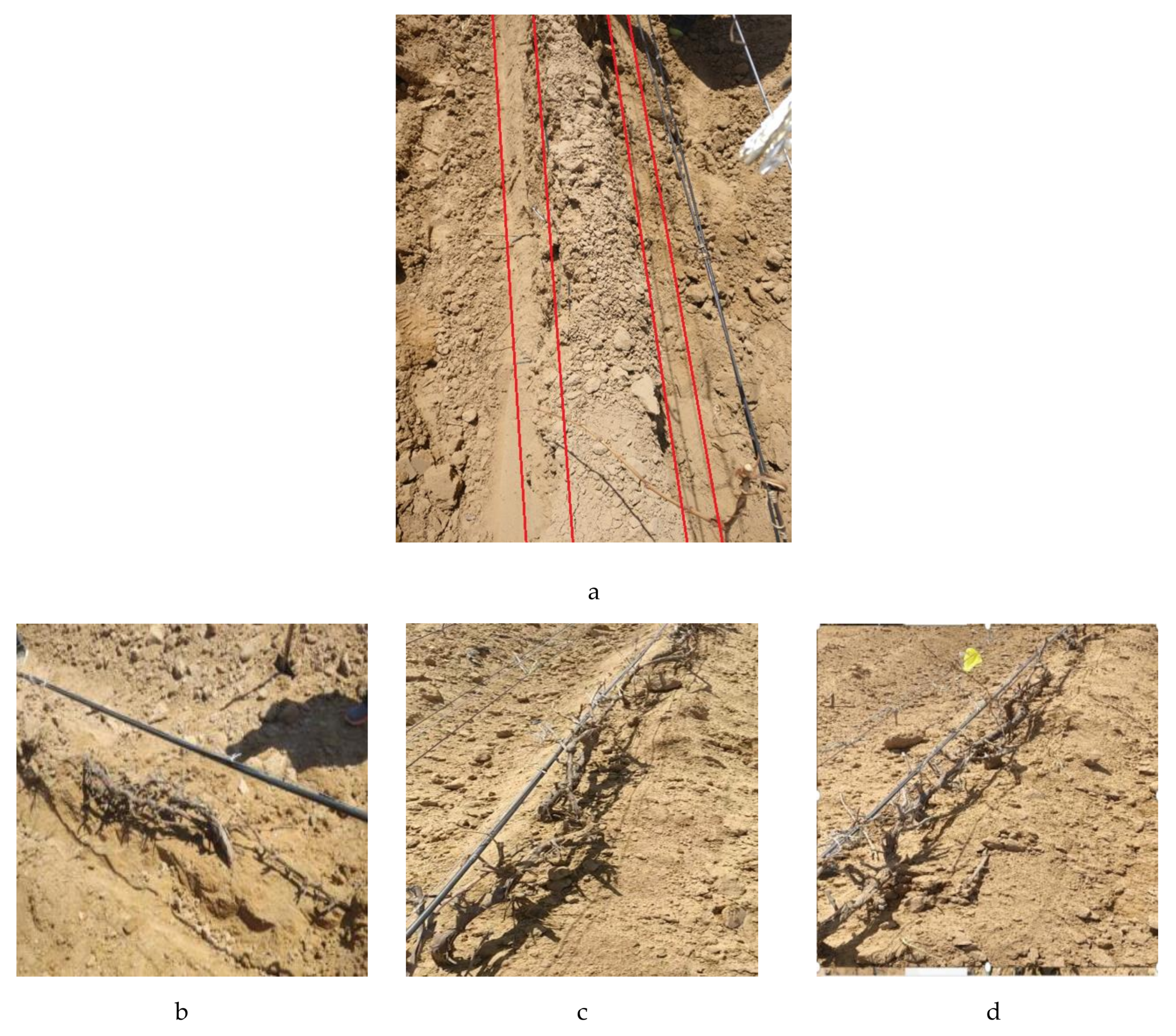 Agriengineering 03 00004 g023