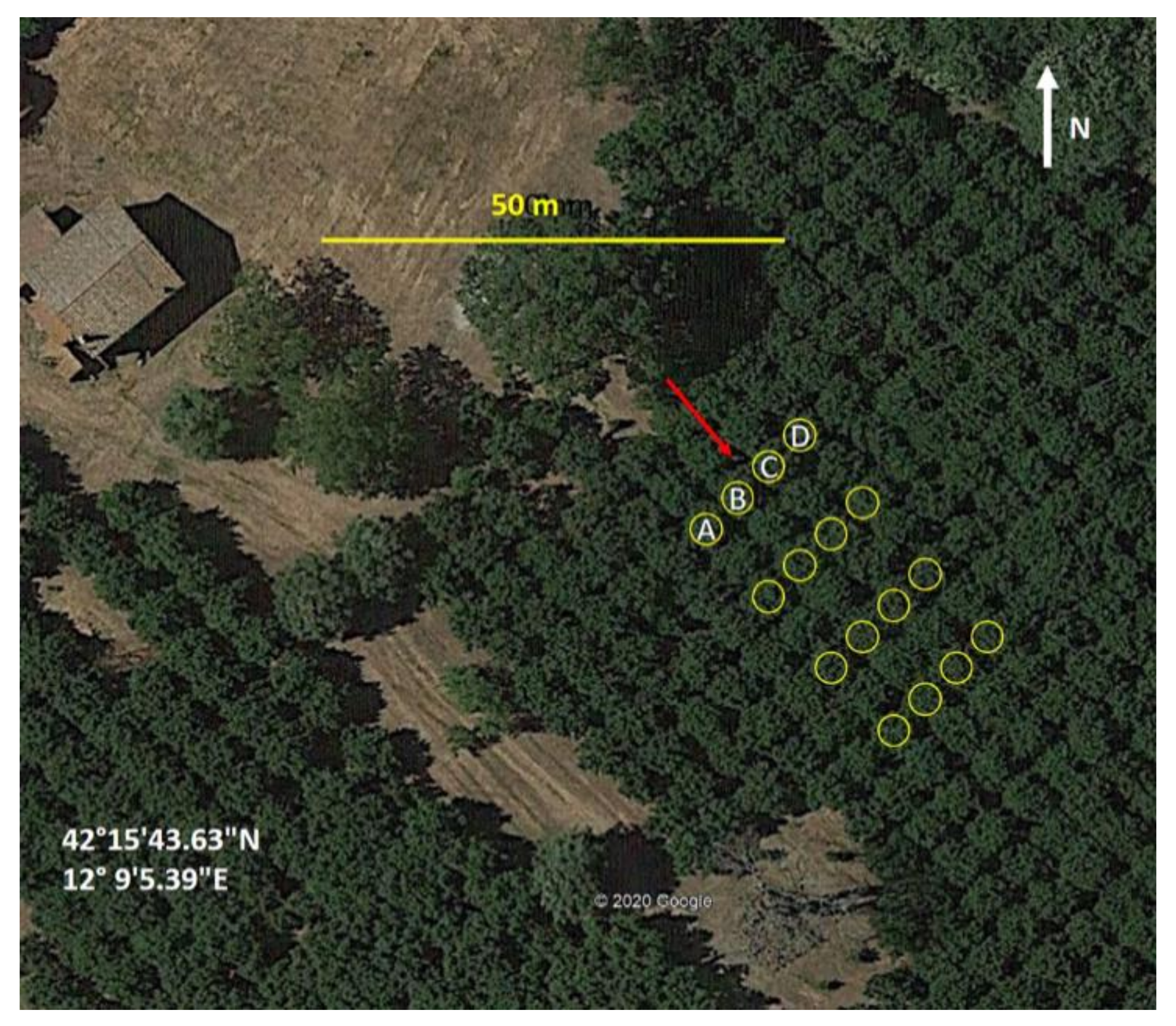 Agriengineering 03 00015 g001