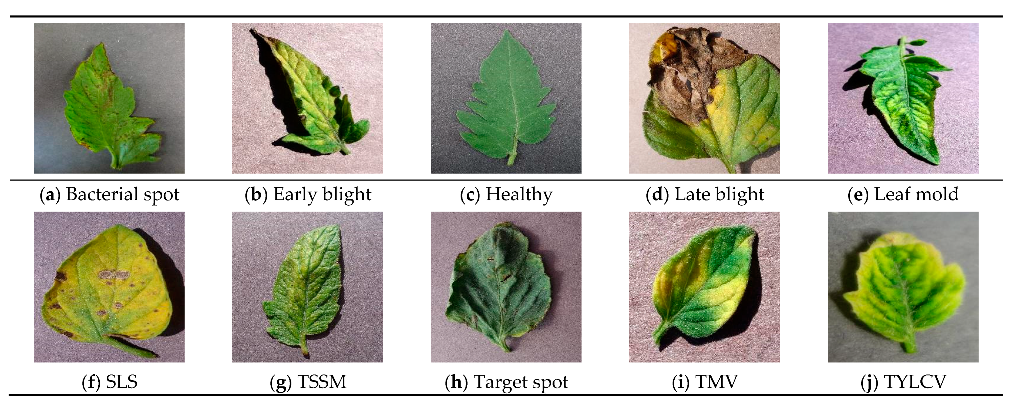 Agriengineering 03 00035 g002
