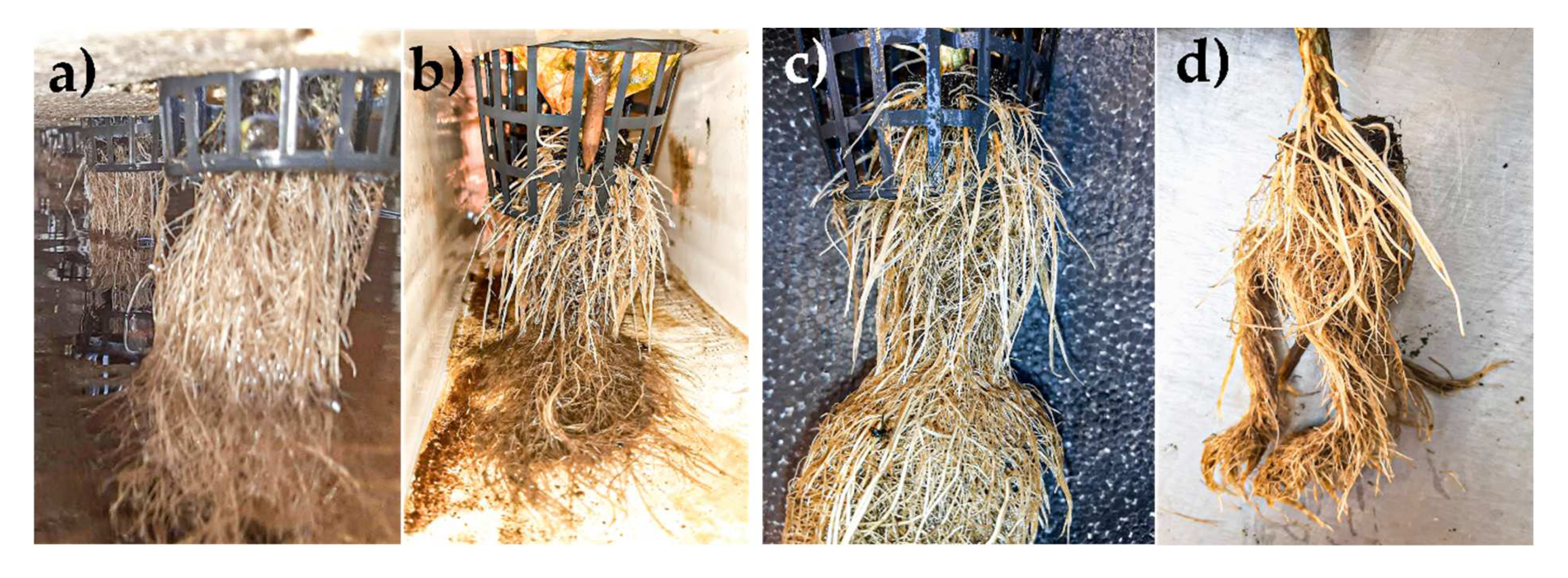 Agriengineering 03 00036 g006 550