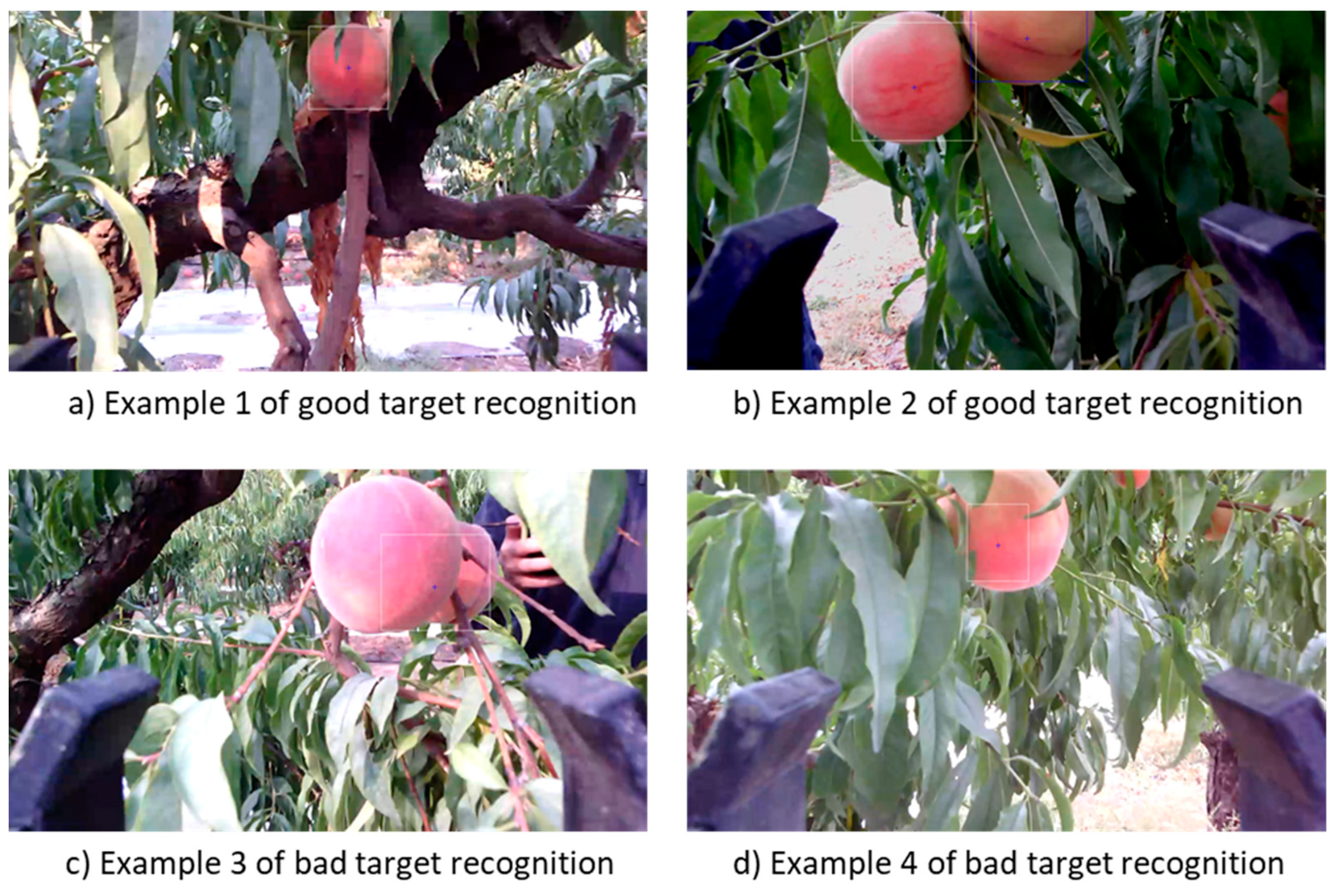 Agriengineering 03 00053 g009 550