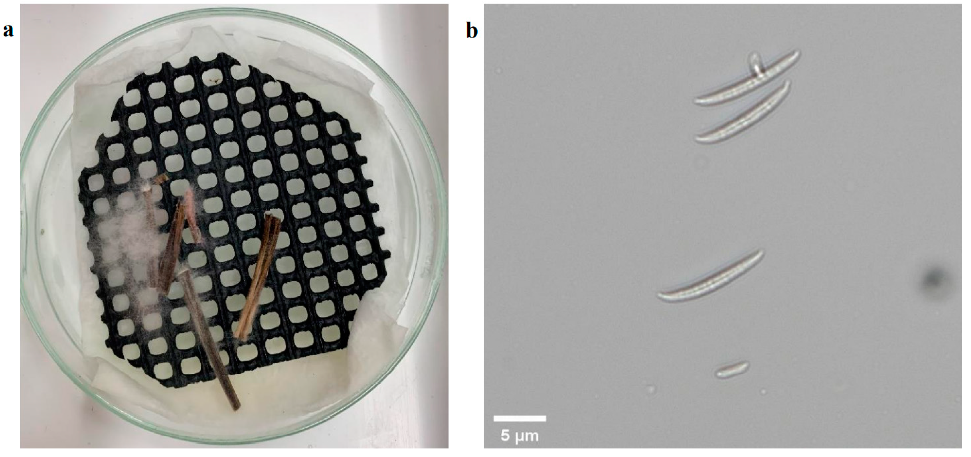 Agriengineering 04 00010 g007 550