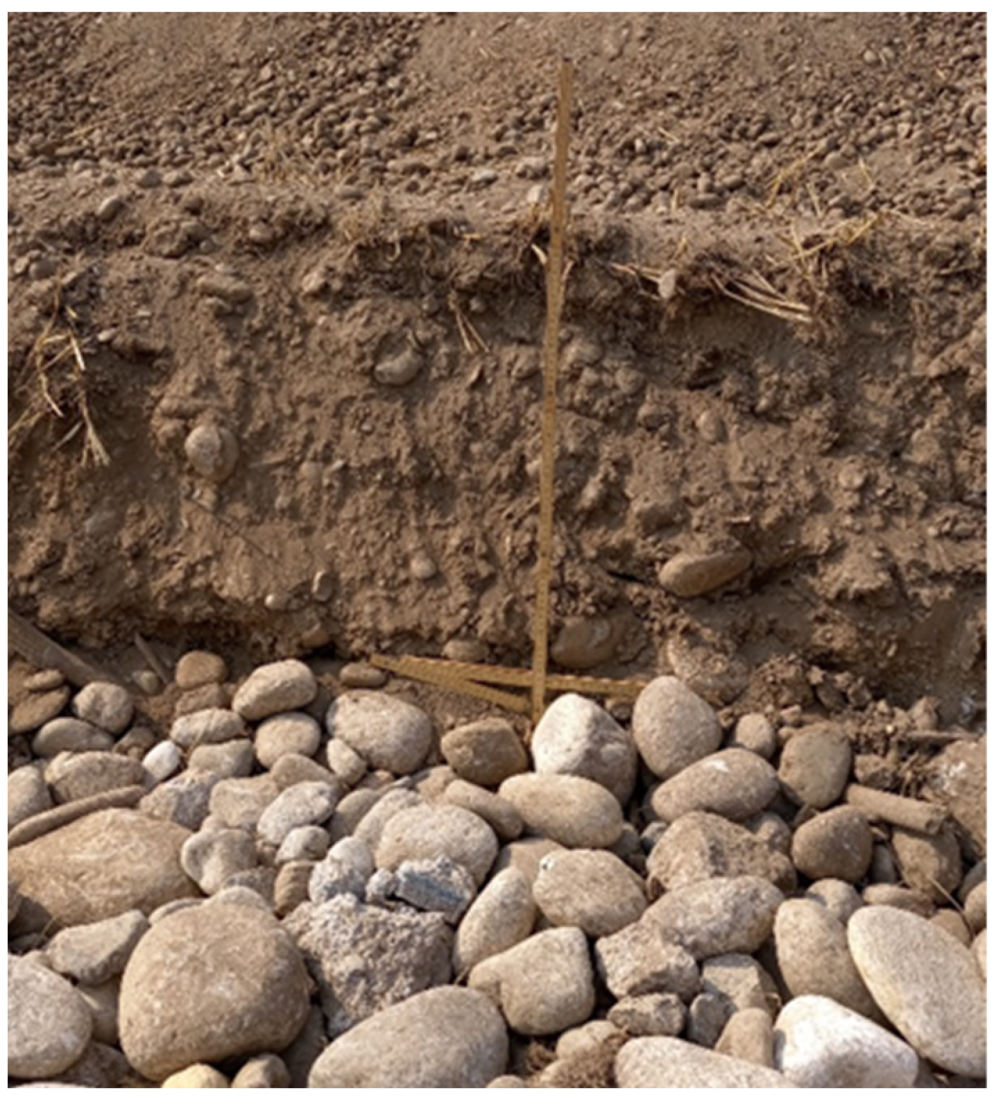 Agriengineering 04 00011 g011 550