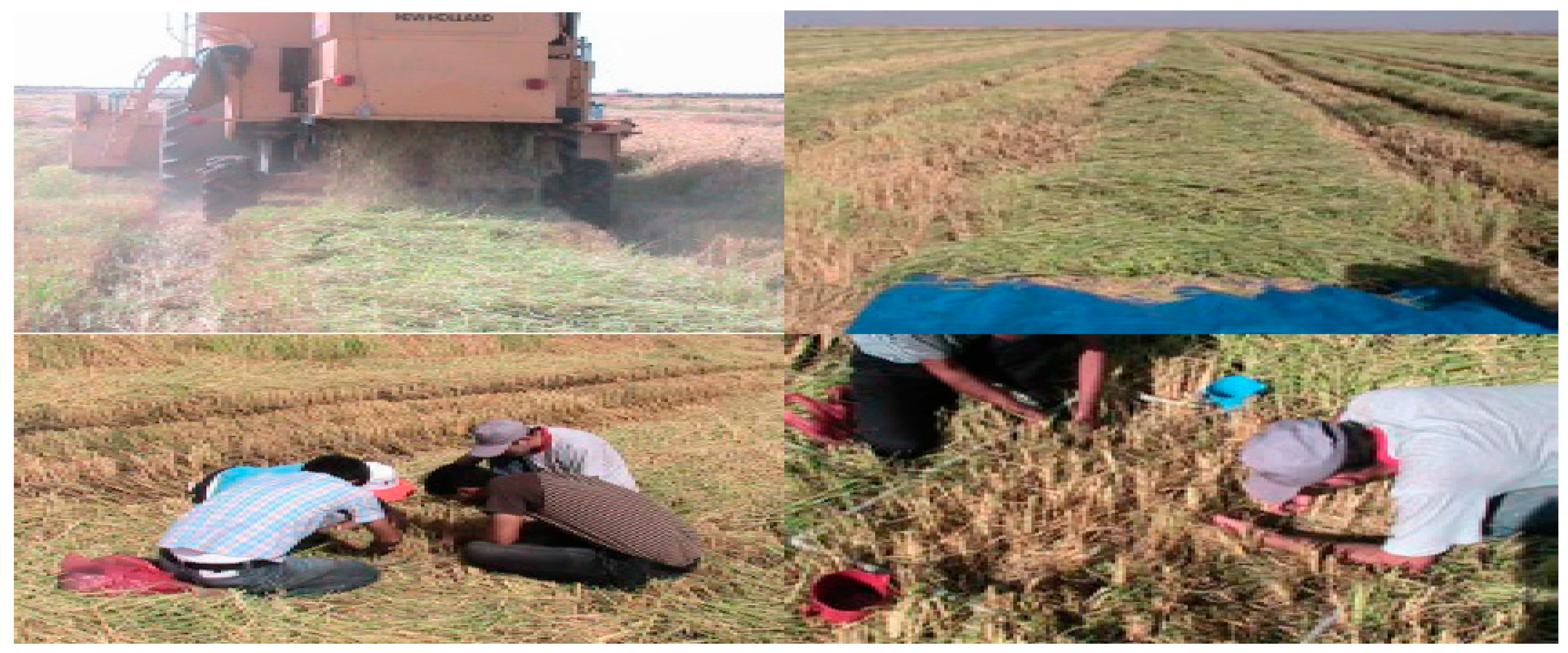 Agriengineering 04 00020 g005 Agriengineering 04 00020 g005