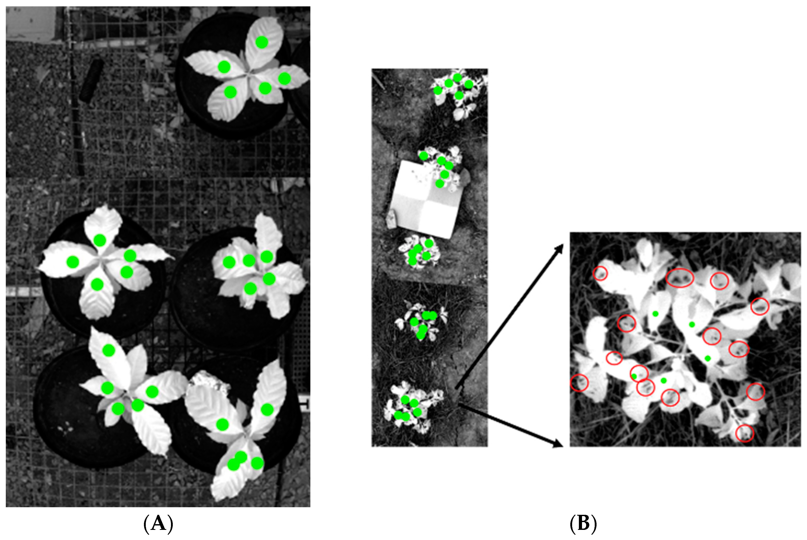 Agriengineering 04 00021 g001