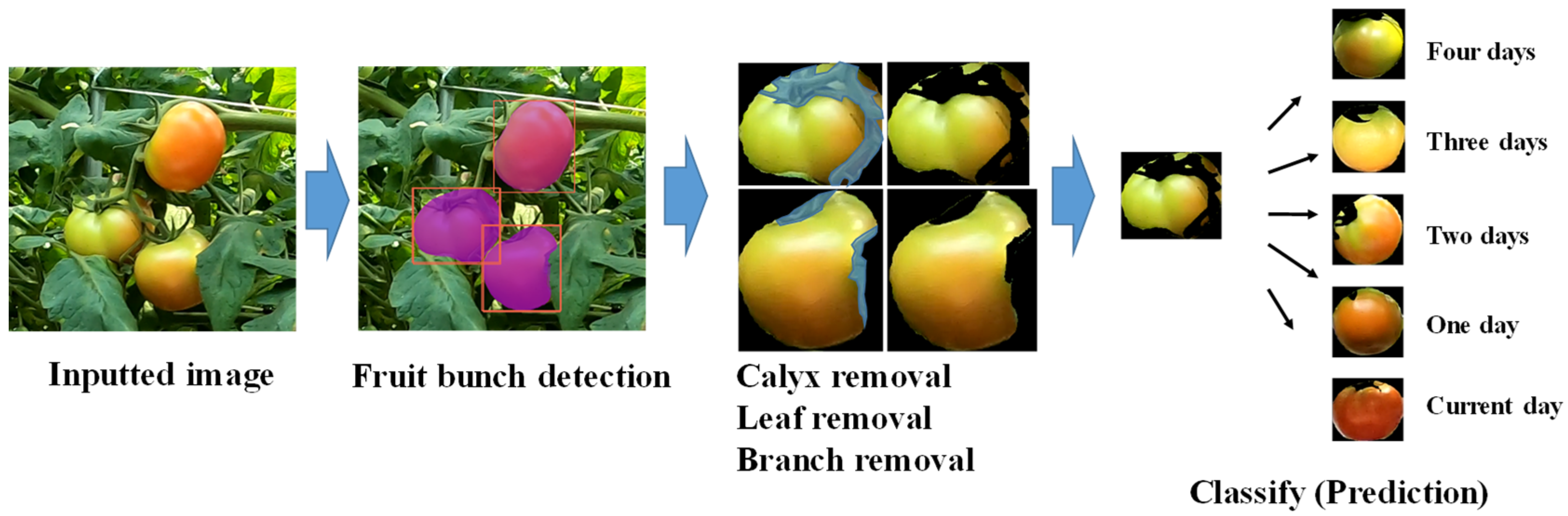 Agriengineering 04 00024 g001 550