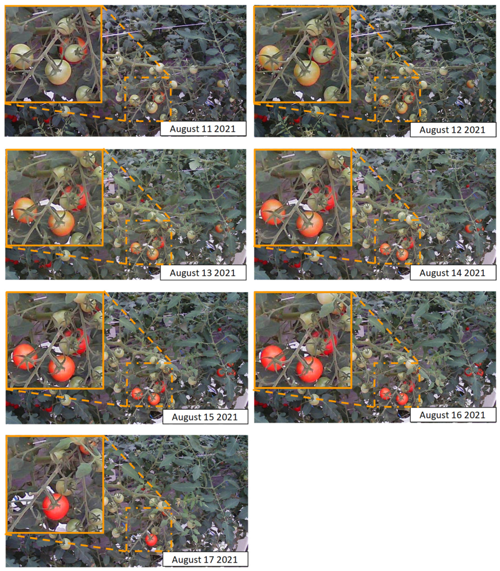 Agriengineering 04 00024 g005 550