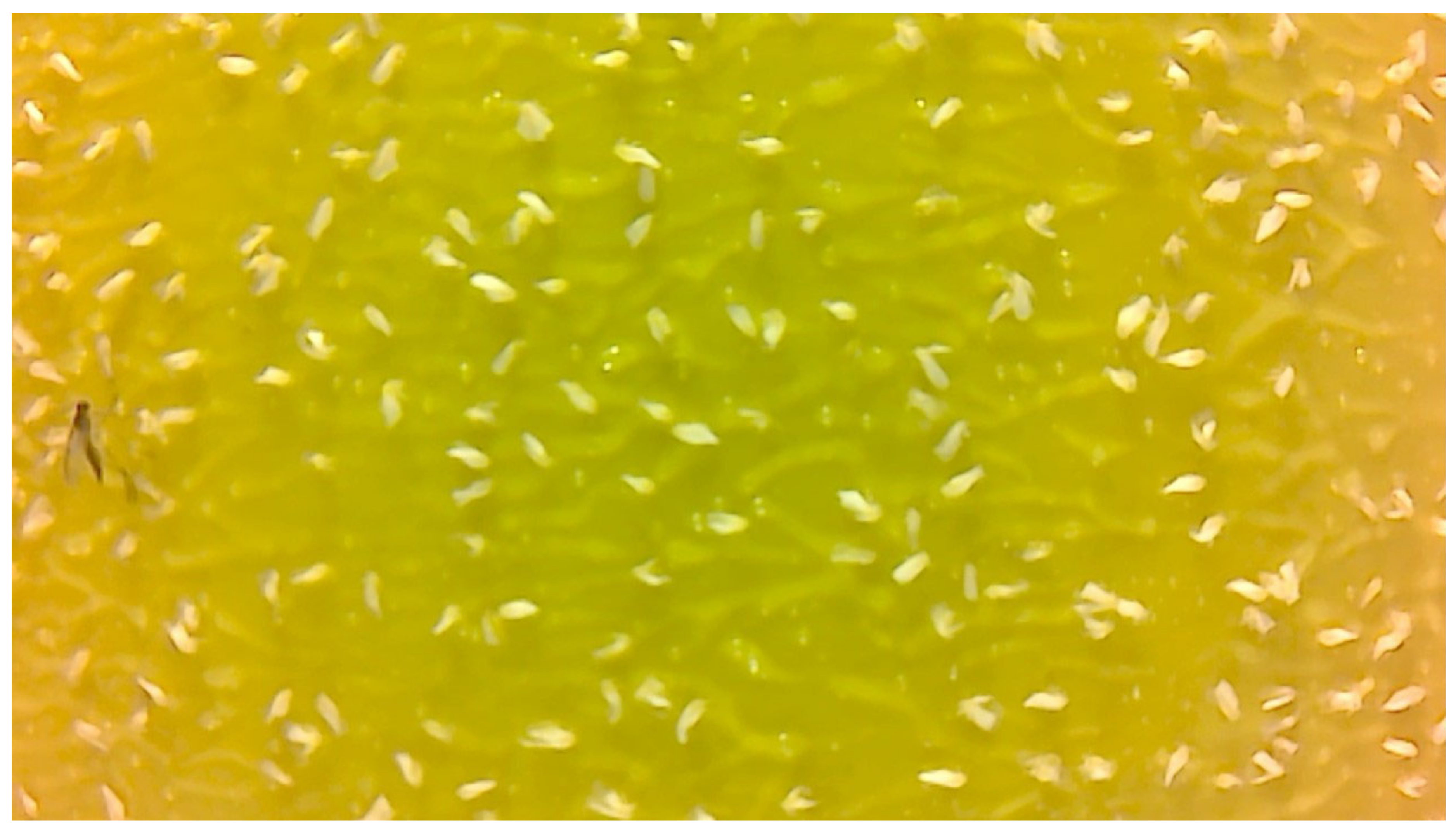 Agriengineering 04 00034 g003 550