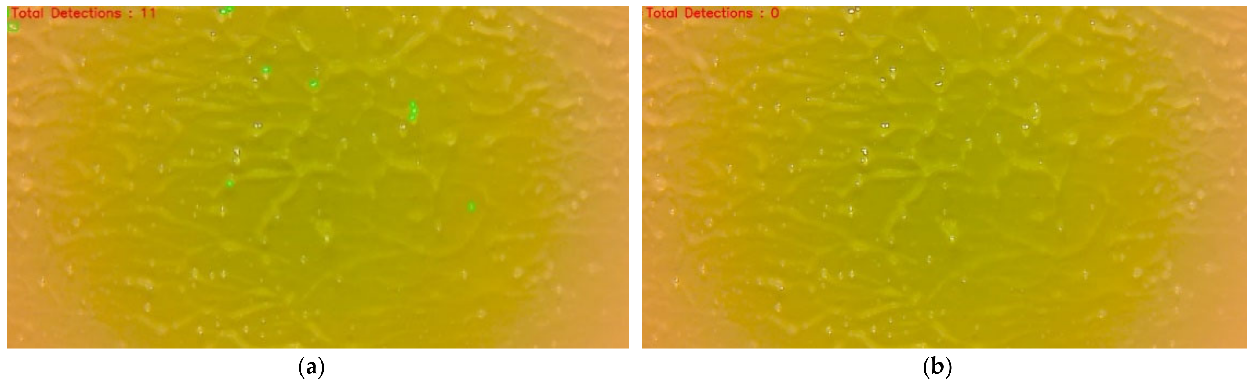 Agriengineering 04 00034 g011 550