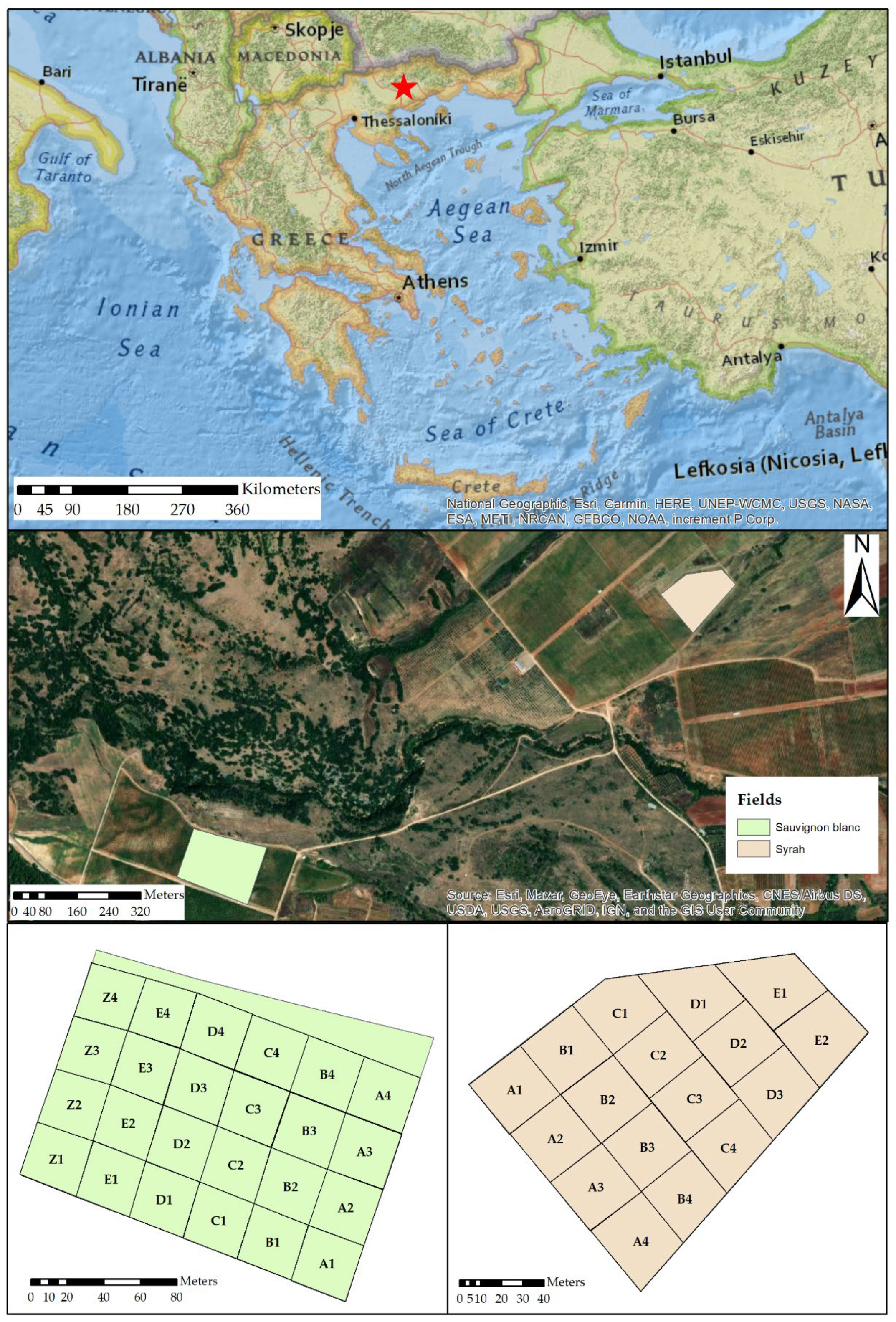 Agriengineering 04 00047 g001 550