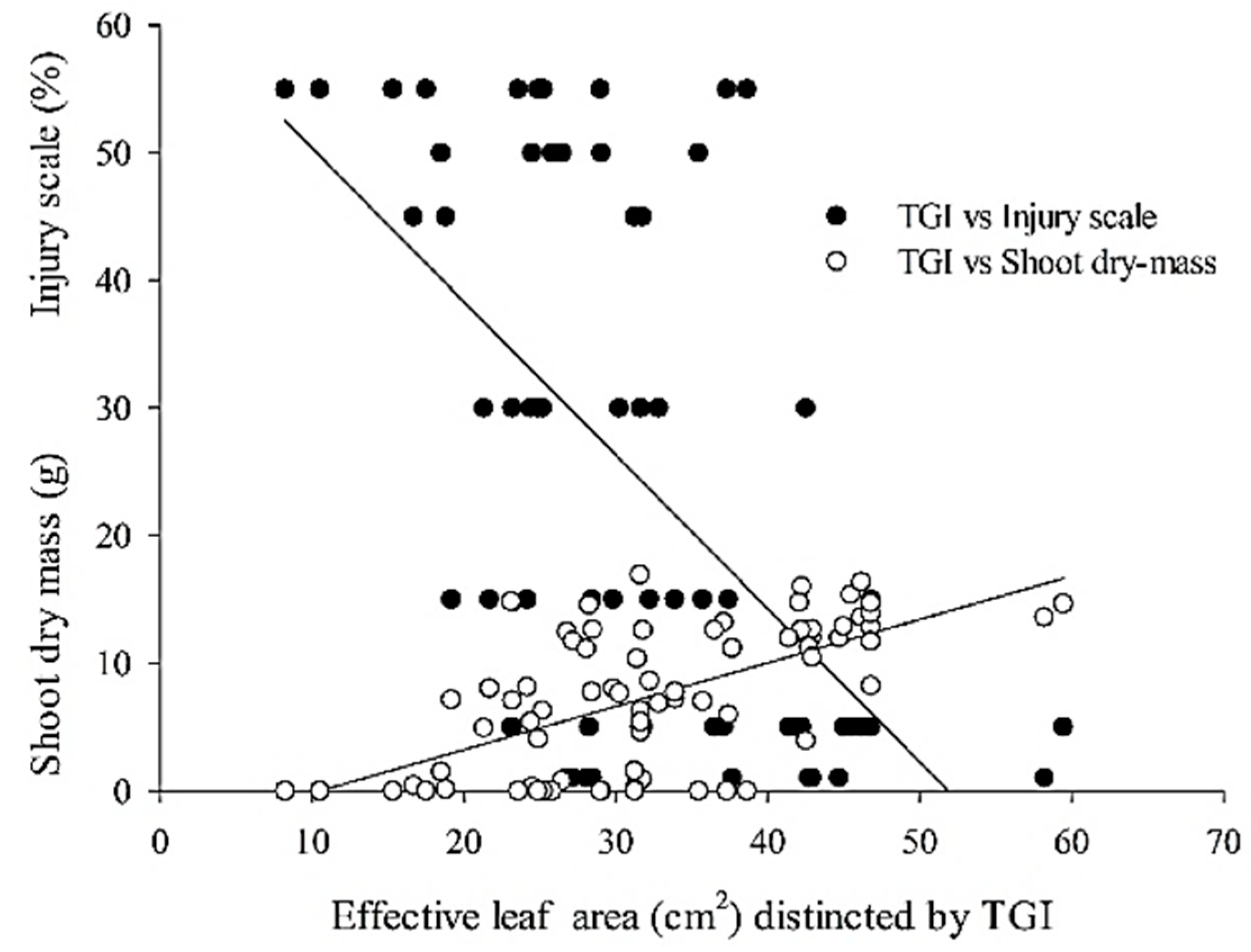 Agriengineering 04 00049 g006