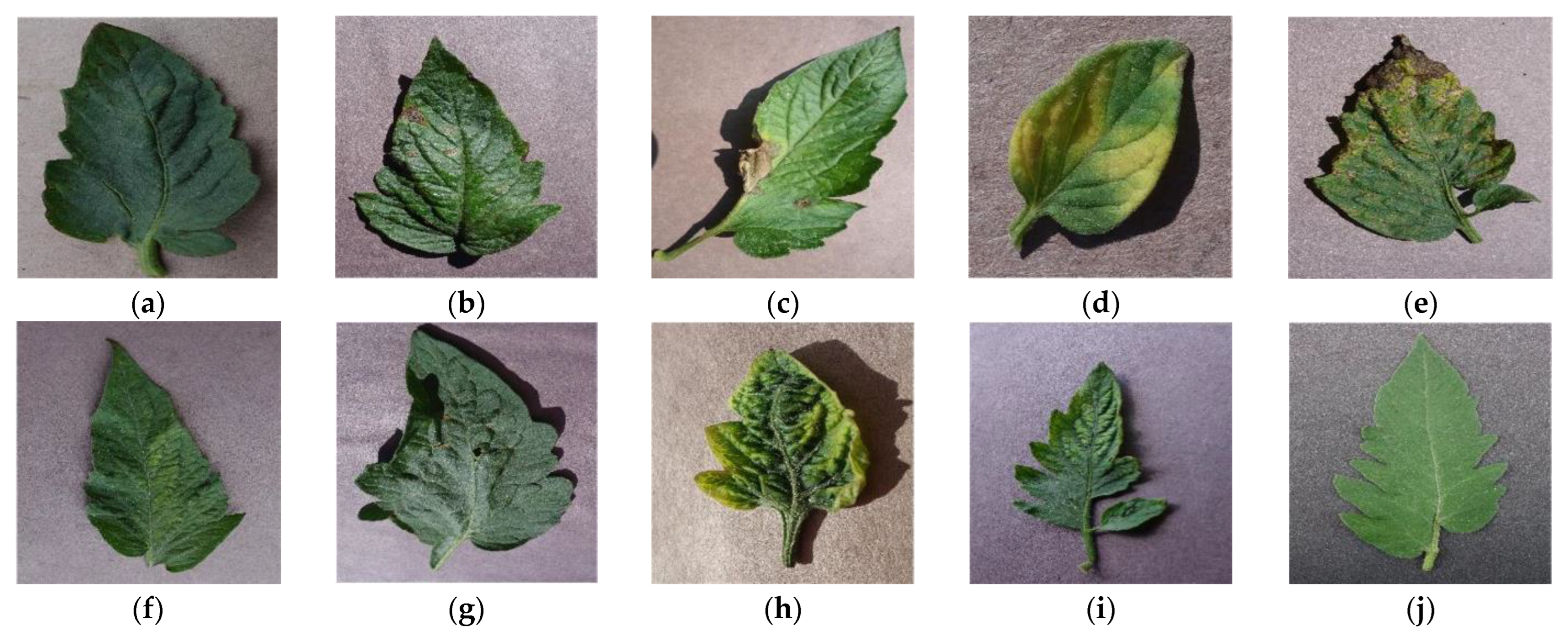 Agriengineering 04 00056 g003 Agriengineering 04 00056 g003