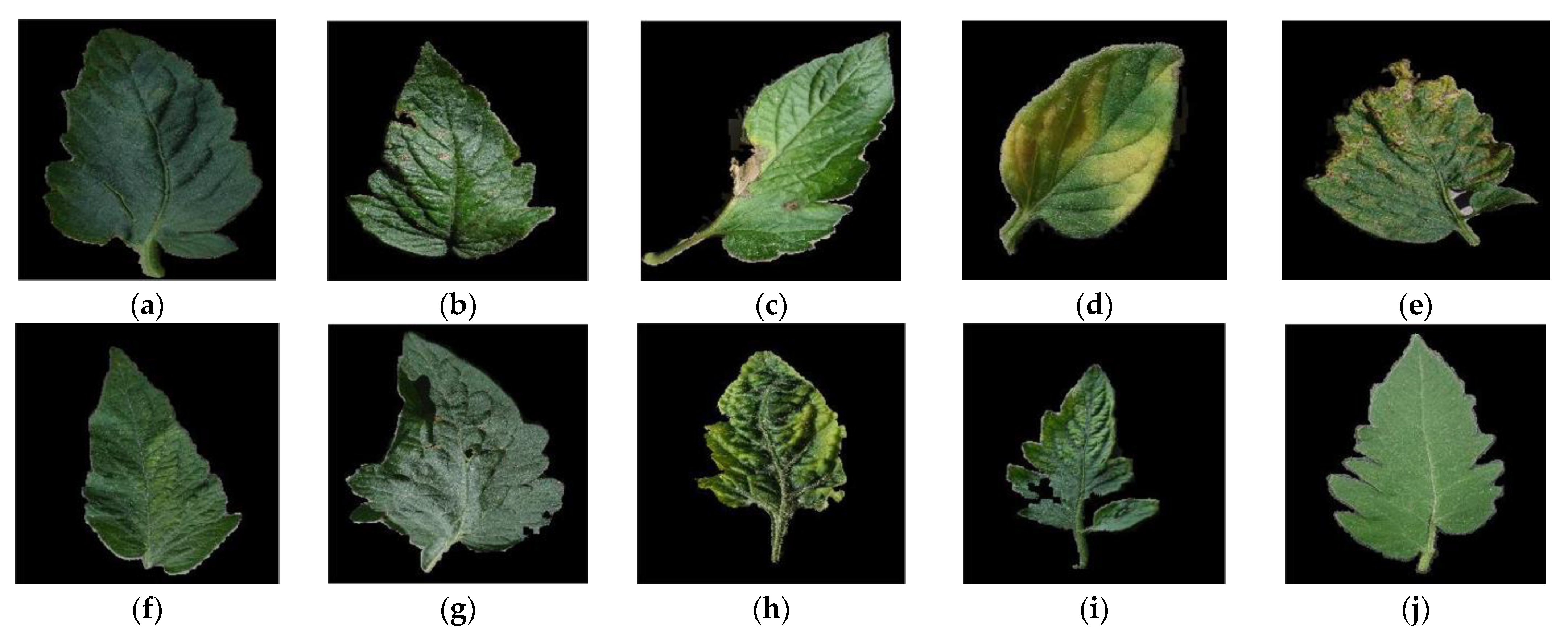 Agriengineering 04 00056 g007 Agriengineering 04 00056 g007