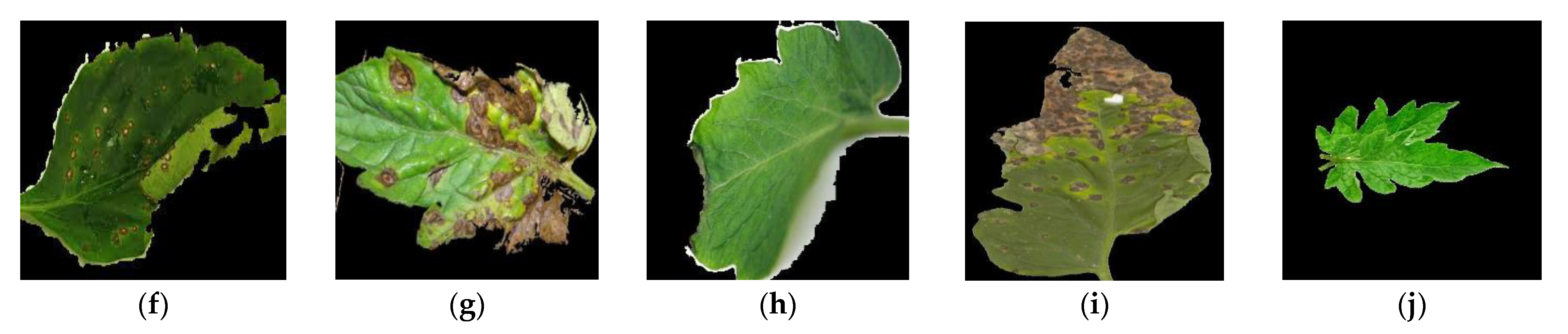 Agriengineering 04 00056 g008b Agriengineering 04 00056 g008b