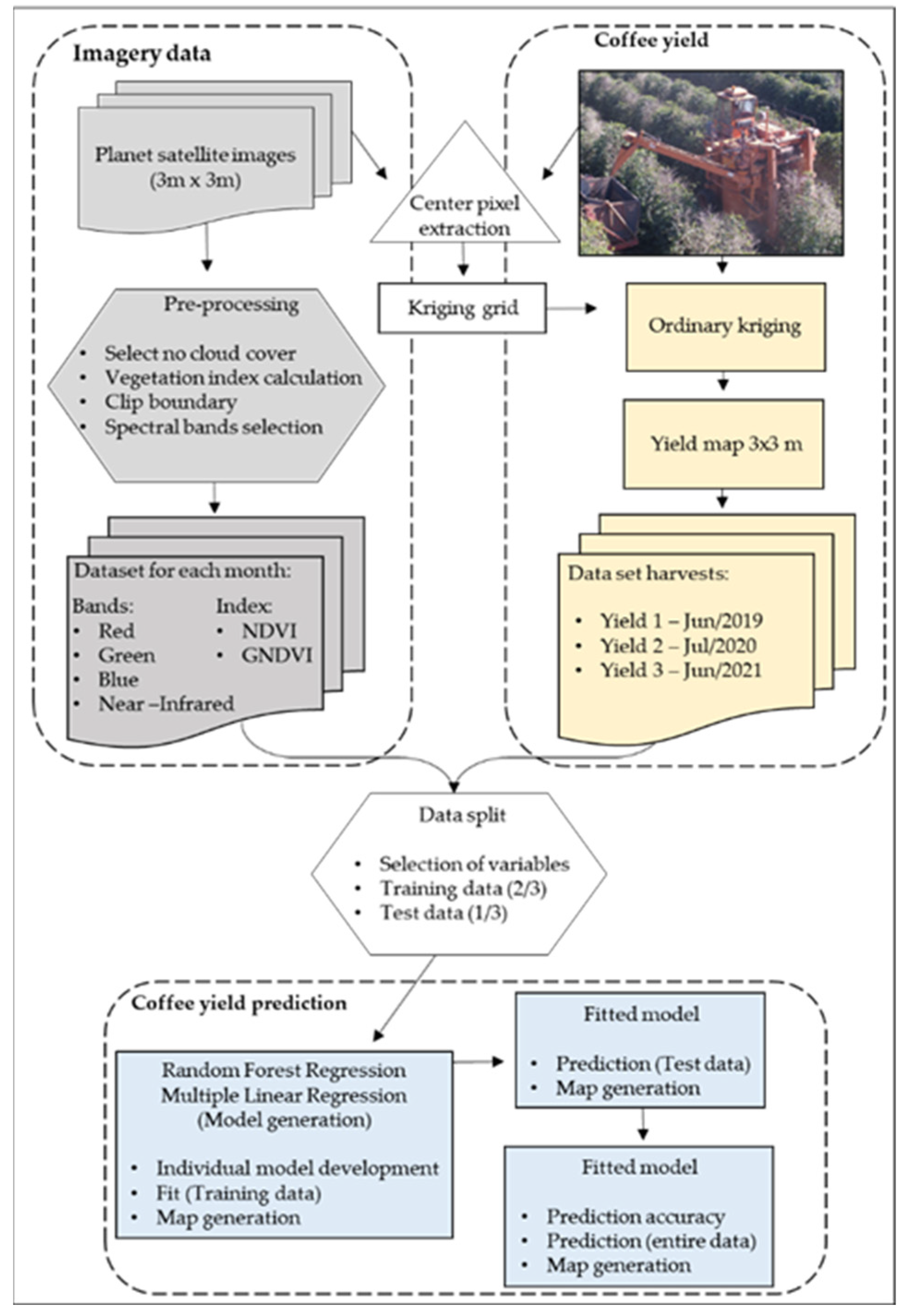 AgriEngineering Free FullText CoffeeYield Estimation Using High