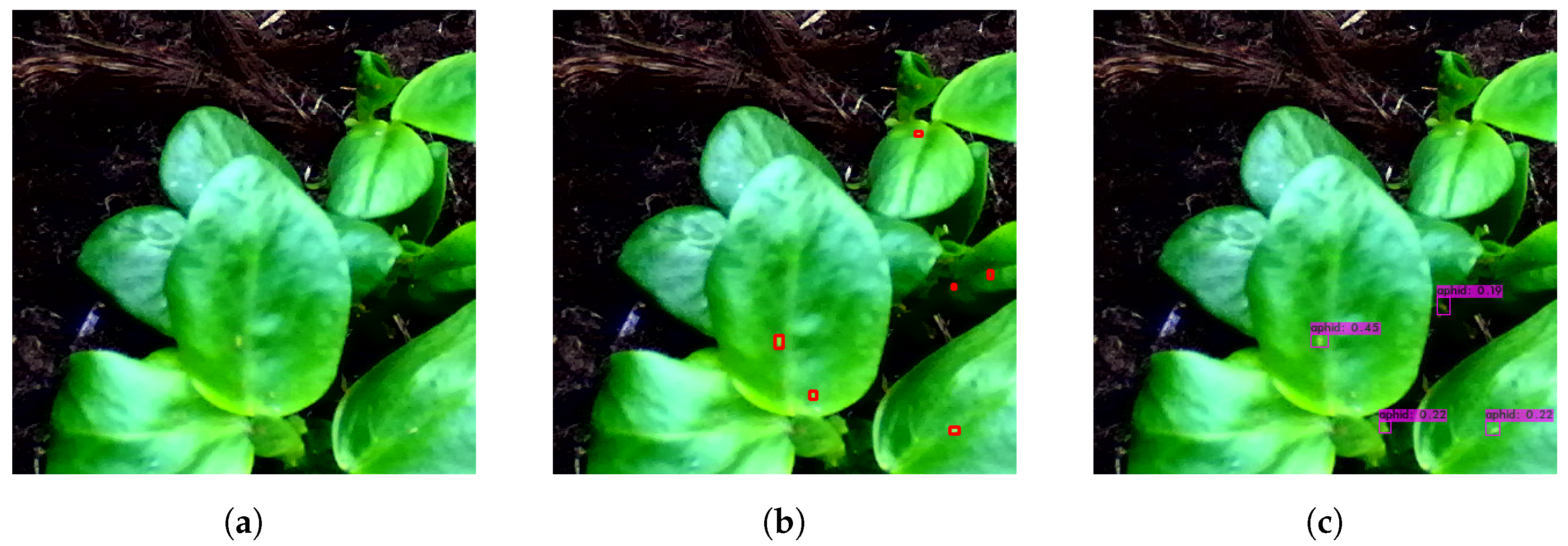 Agriengineering 04 00058 g009