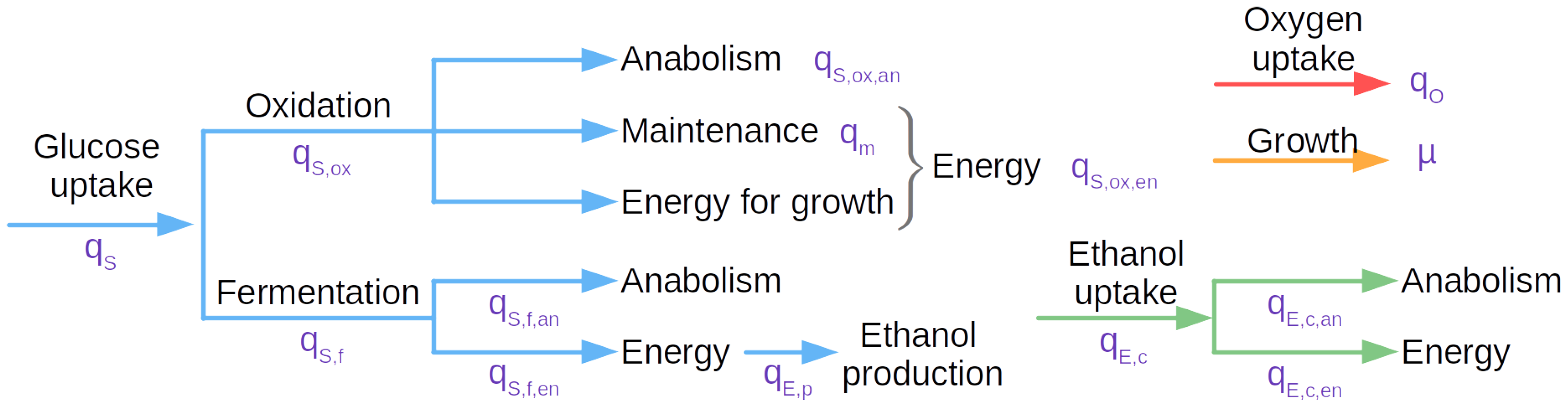 Agriengineering 04 00061 g001