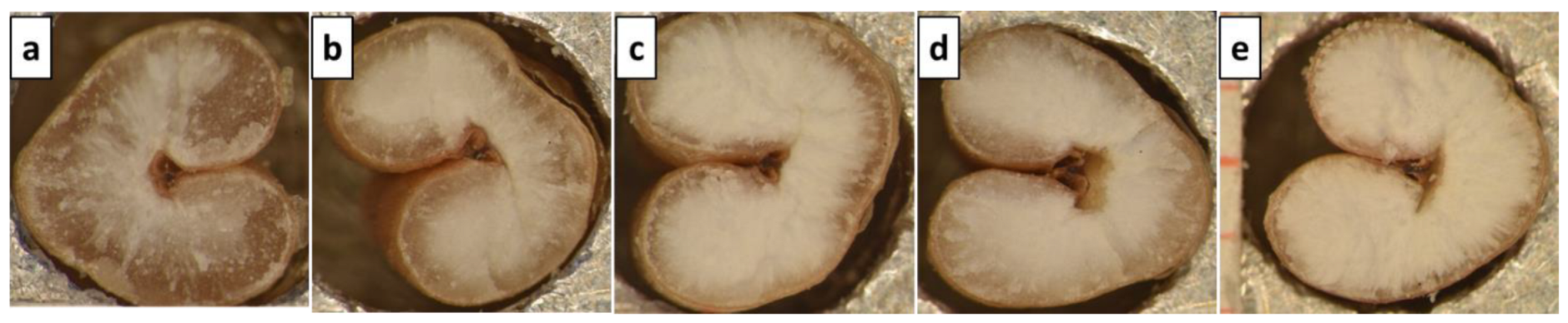 Agriengineering 04 00071 g003