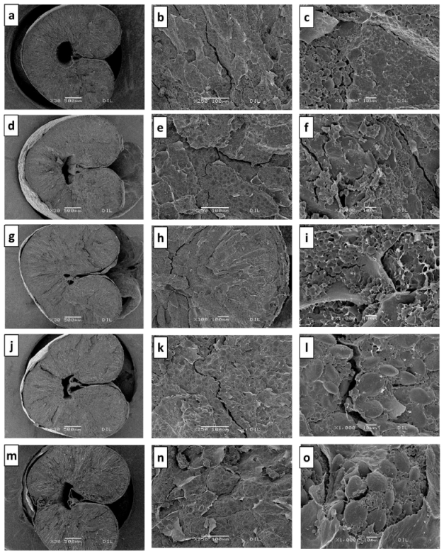 Agriengineering 04 00071 g004