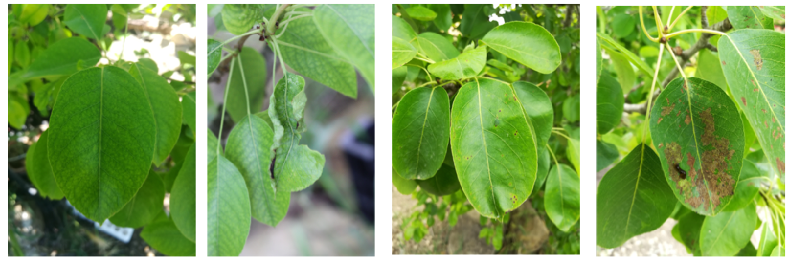 Agriengineering 05 00009 g001