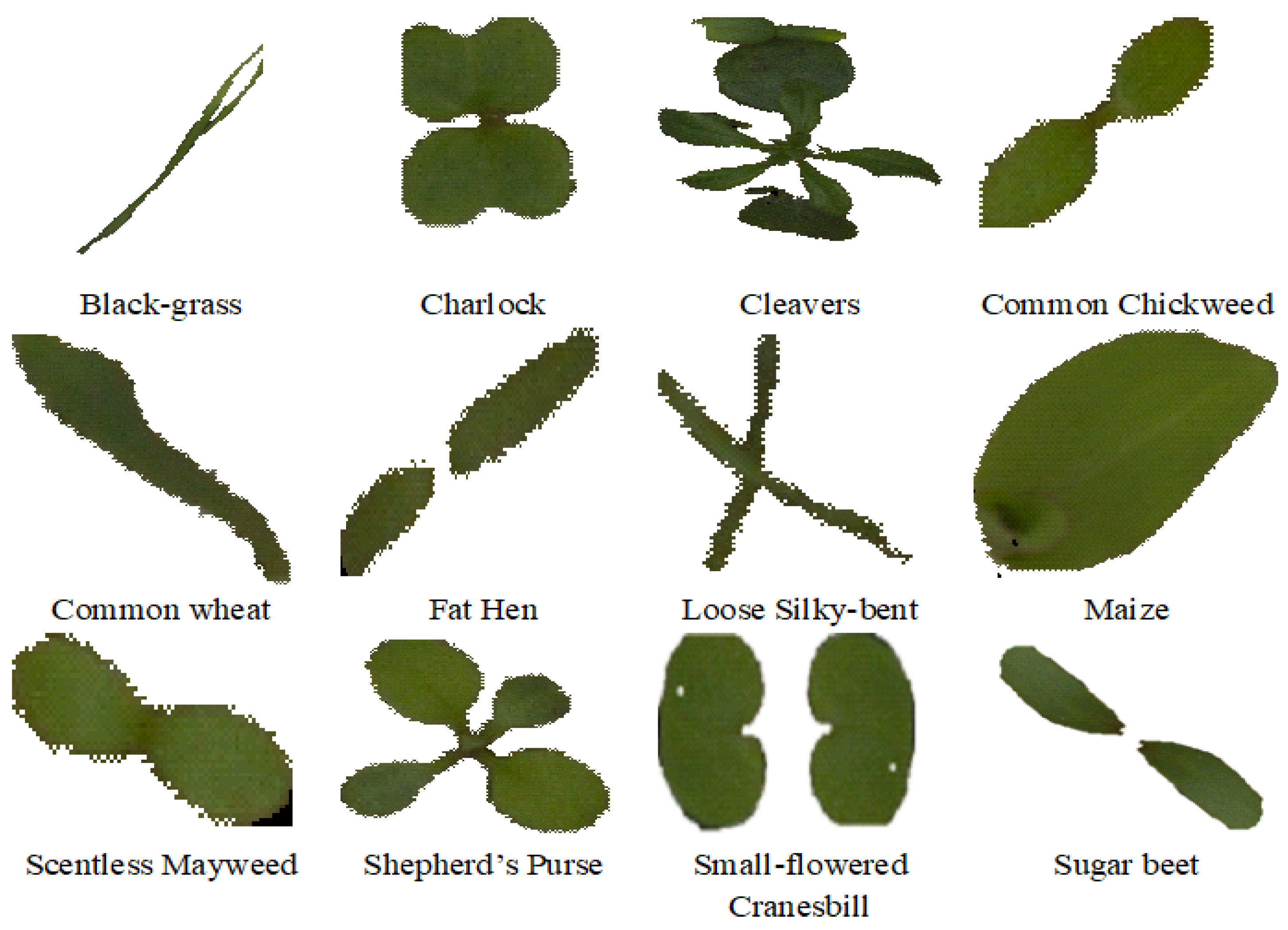 Agriengineering 05 00017 g005 Agriengineering 05 00017 g005