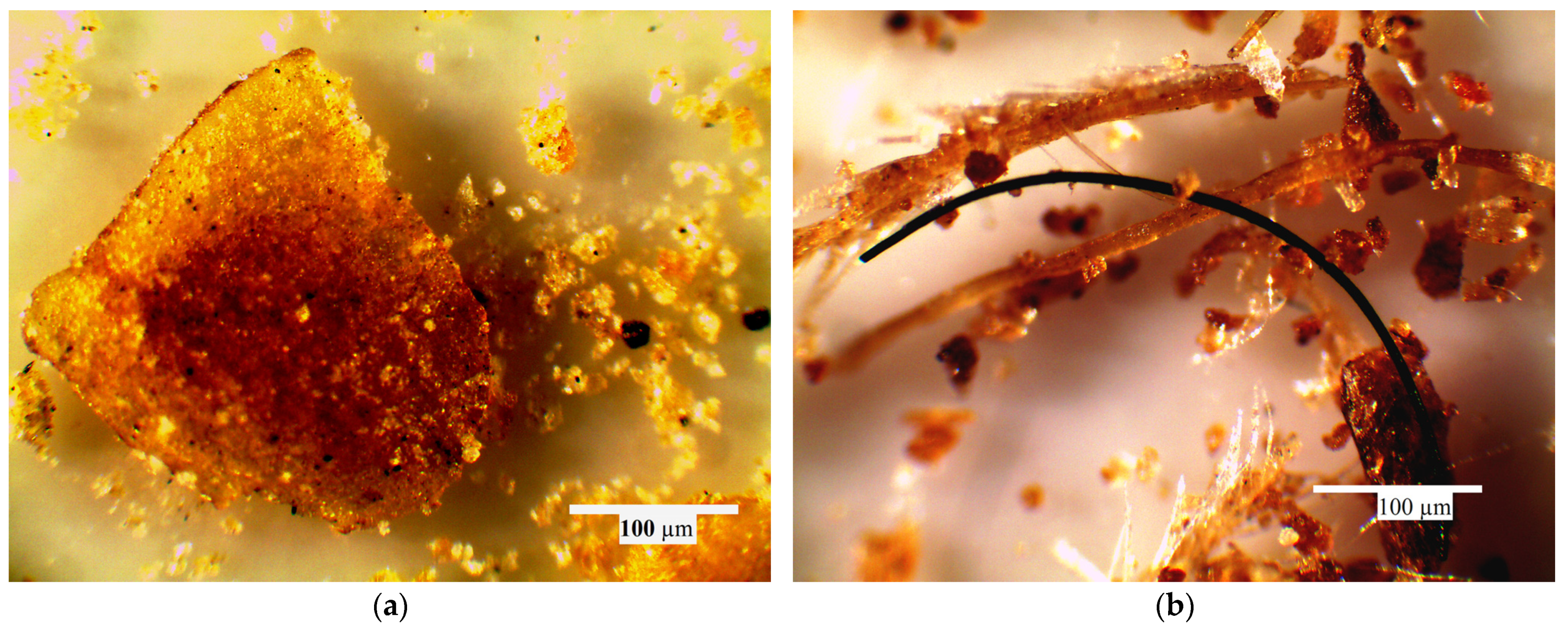 Agriengineering 05 00028 g003