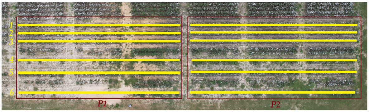 Agriengineering 05 00029 g003