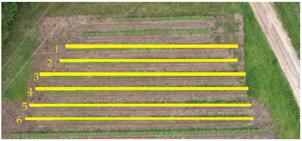 Agriengineering 05 00029 g004