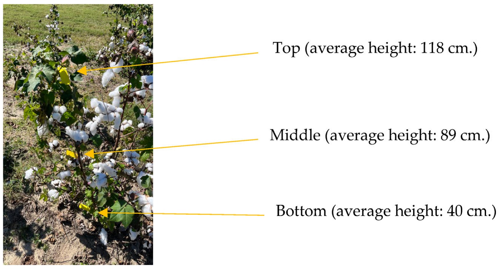 Agriengineering 05 00029 g008
