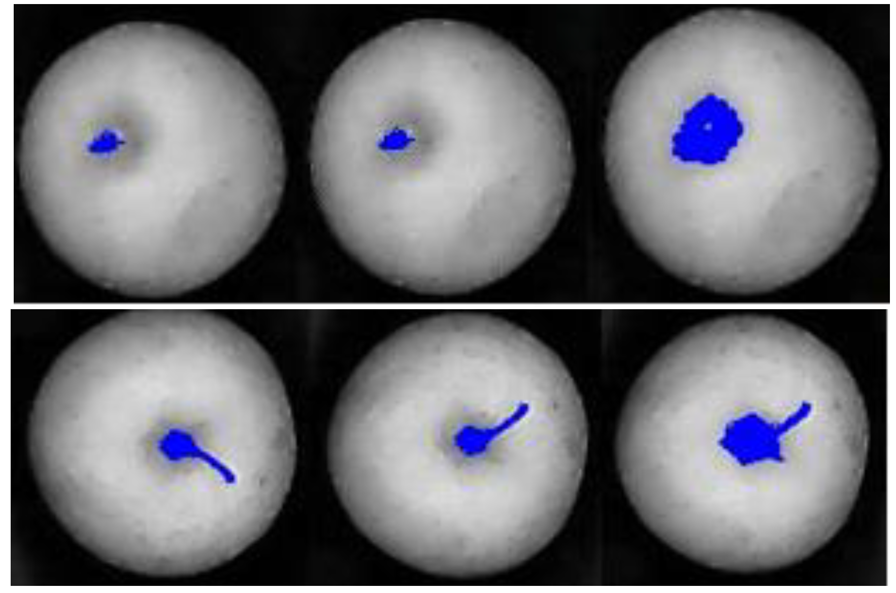 Agriengineering 05 00031 g008 Agriengineering 05 00031 g008