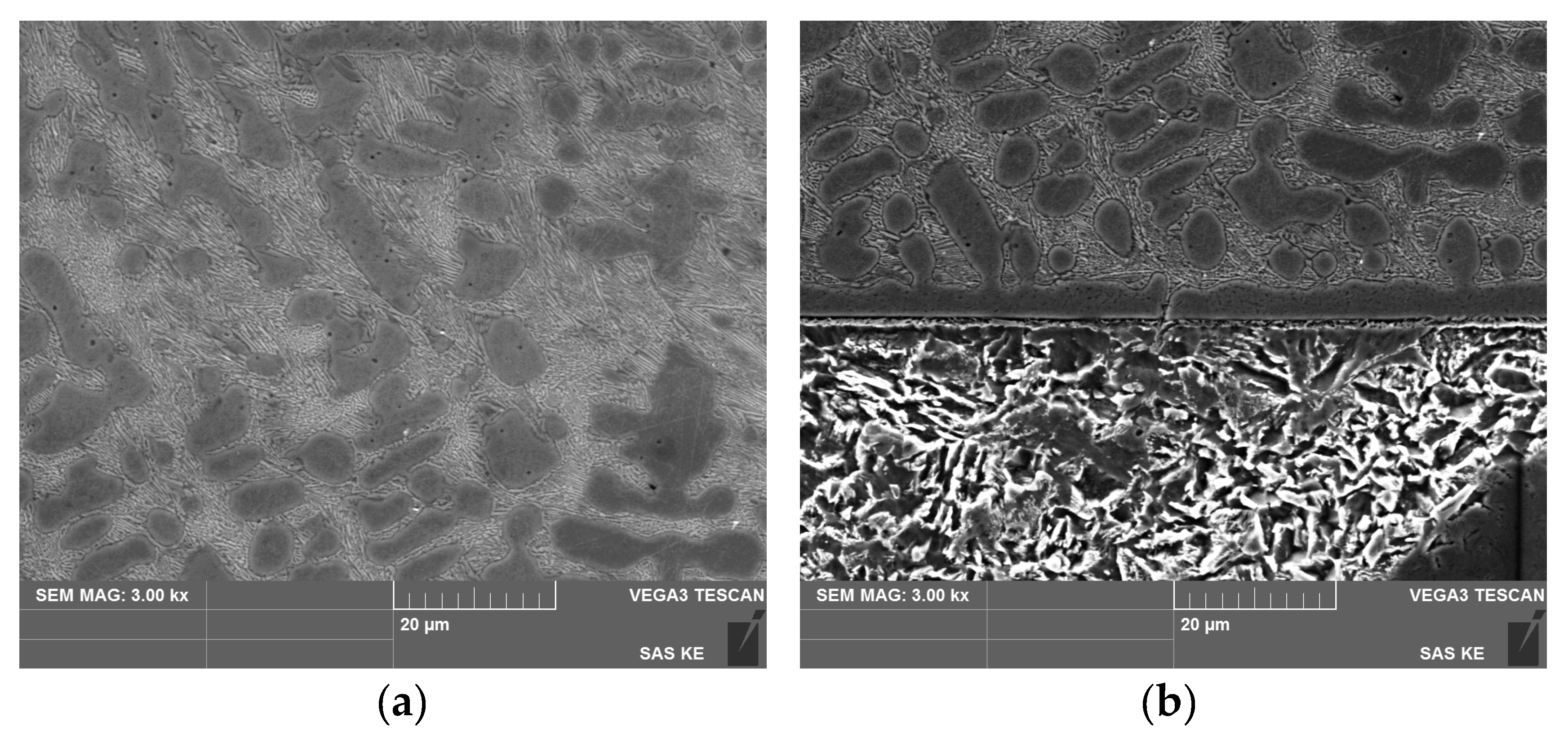 Agriengineering 05 00036 g010