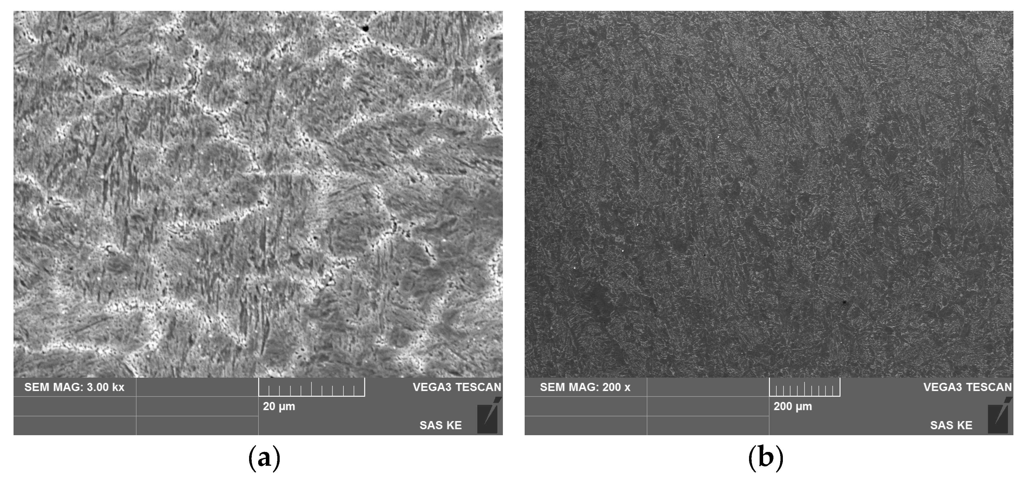 Agriengineering 05 00036 g011