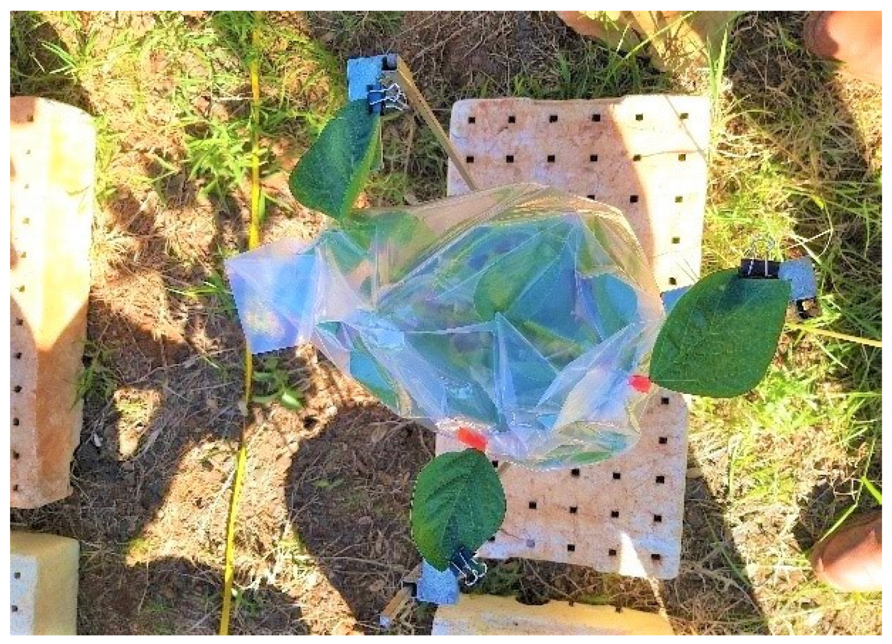 Agriengineering 05 00041 g001 Agriengineering 05 00041 g001