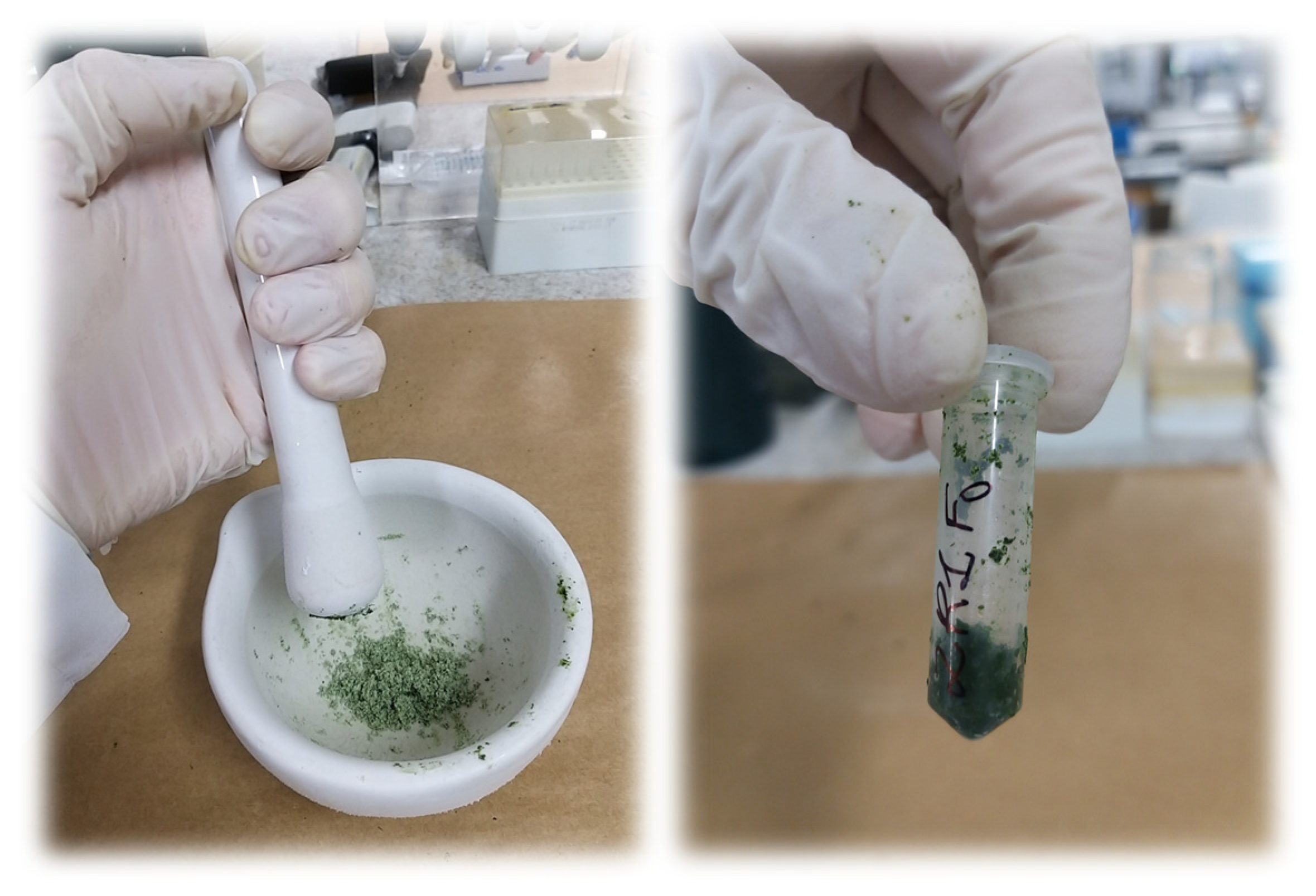 Agriengineering 05 00041 g002 Agriengineering 05 00041 g002