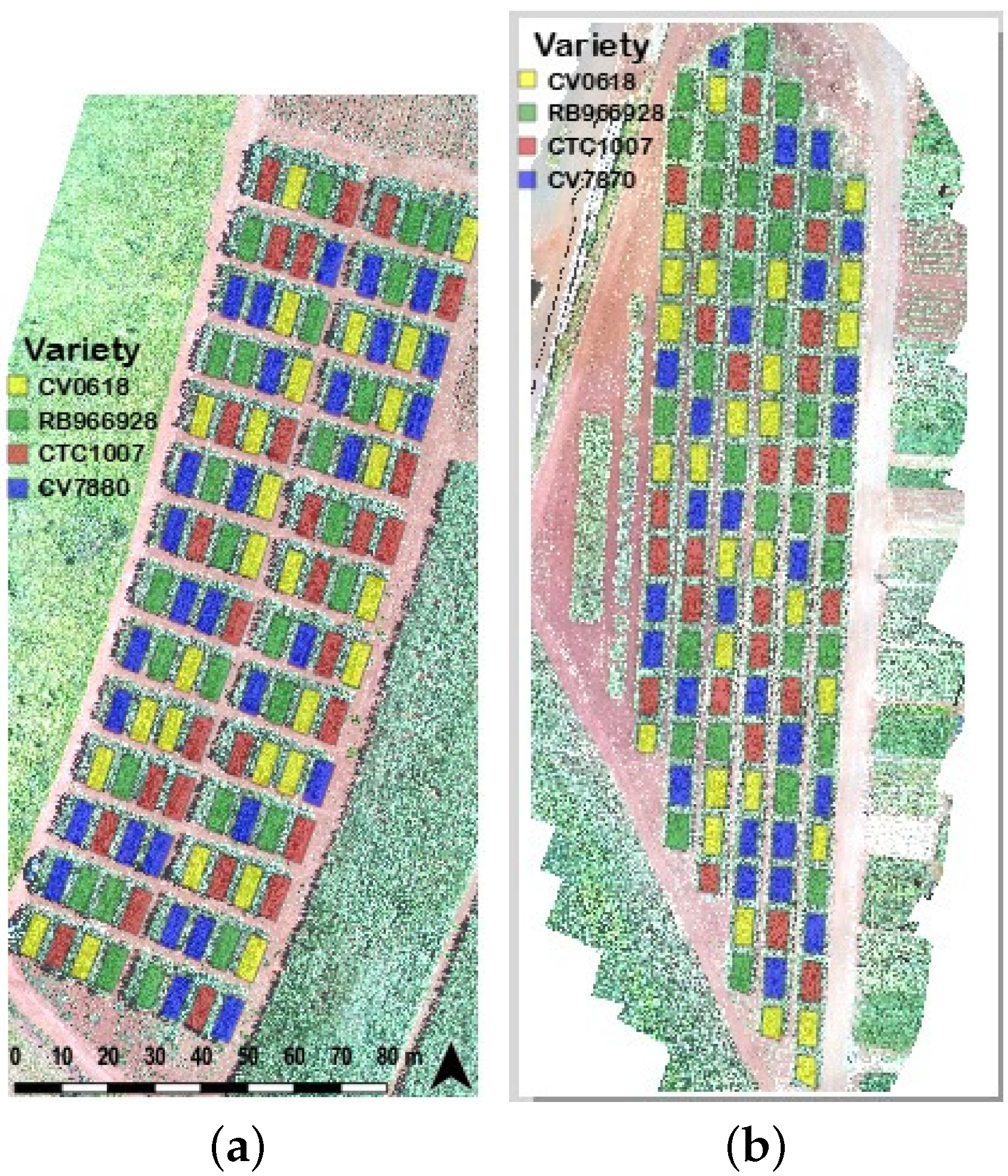 Agriengineering 05 00044 g002