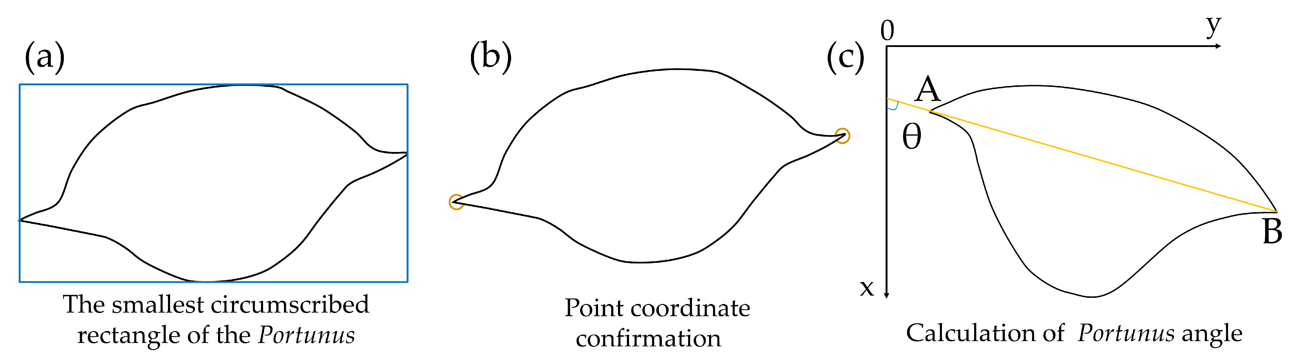 Agriengineering 05 00046 g005
