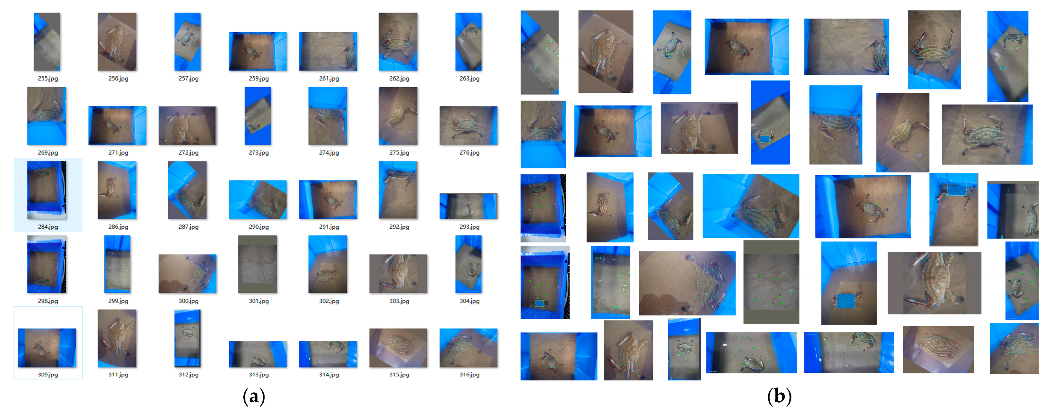 Agriengineering 05 00046 g010