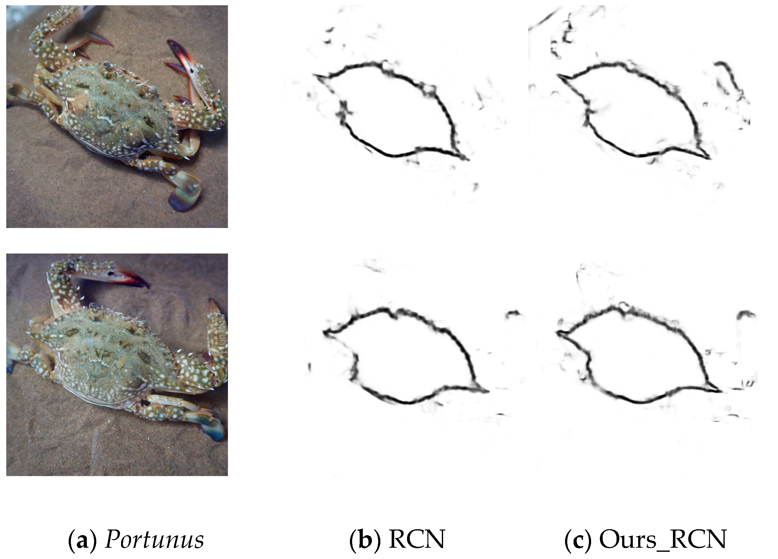 Agriengineering 05 00046 g014