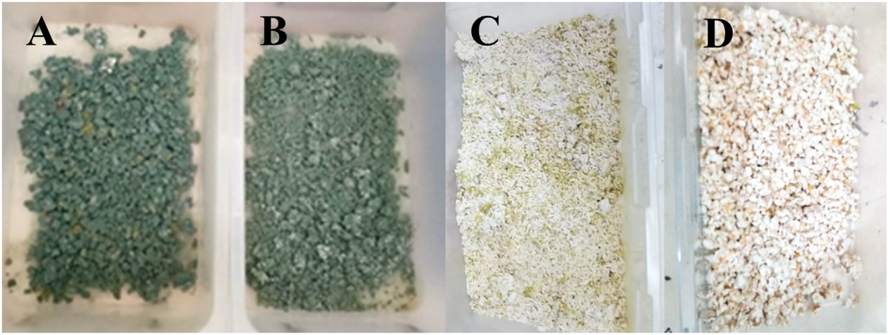Agriengineering 05 00049 g002 Agriengineering 05 00049 g002