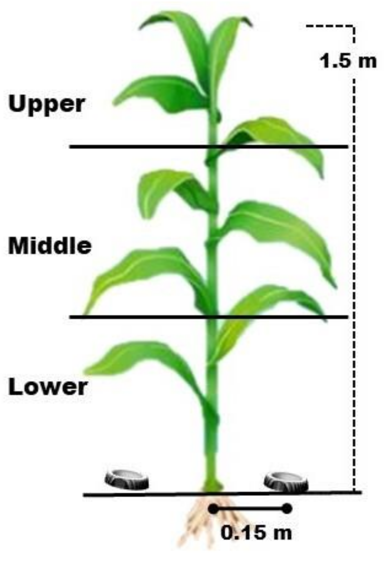 Agriengineering 05 00051 g002 Agriengineering 05 00051 g002