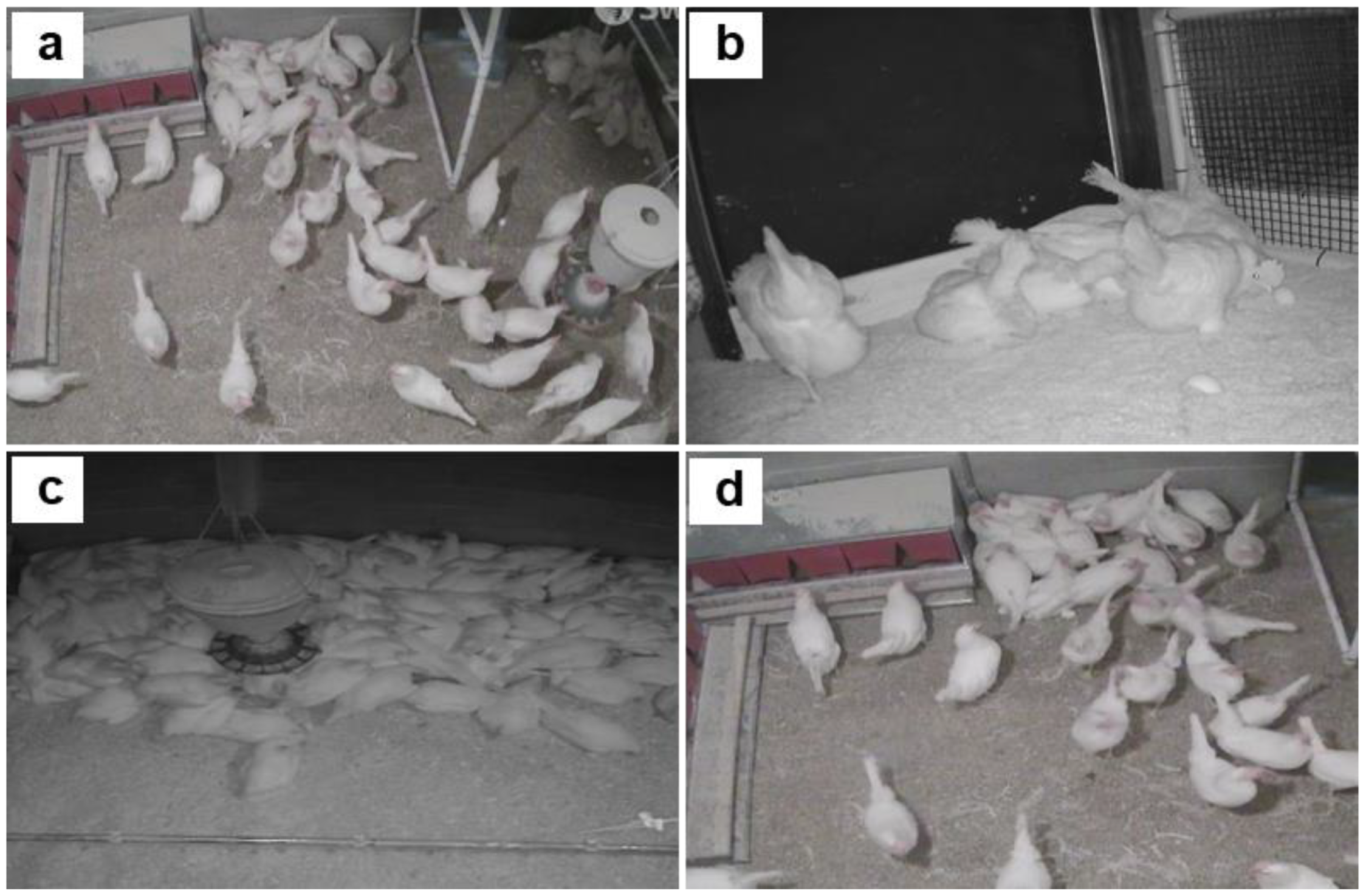 Agriengineering 05 00056 g002 Agriengineering 05 00056 g002